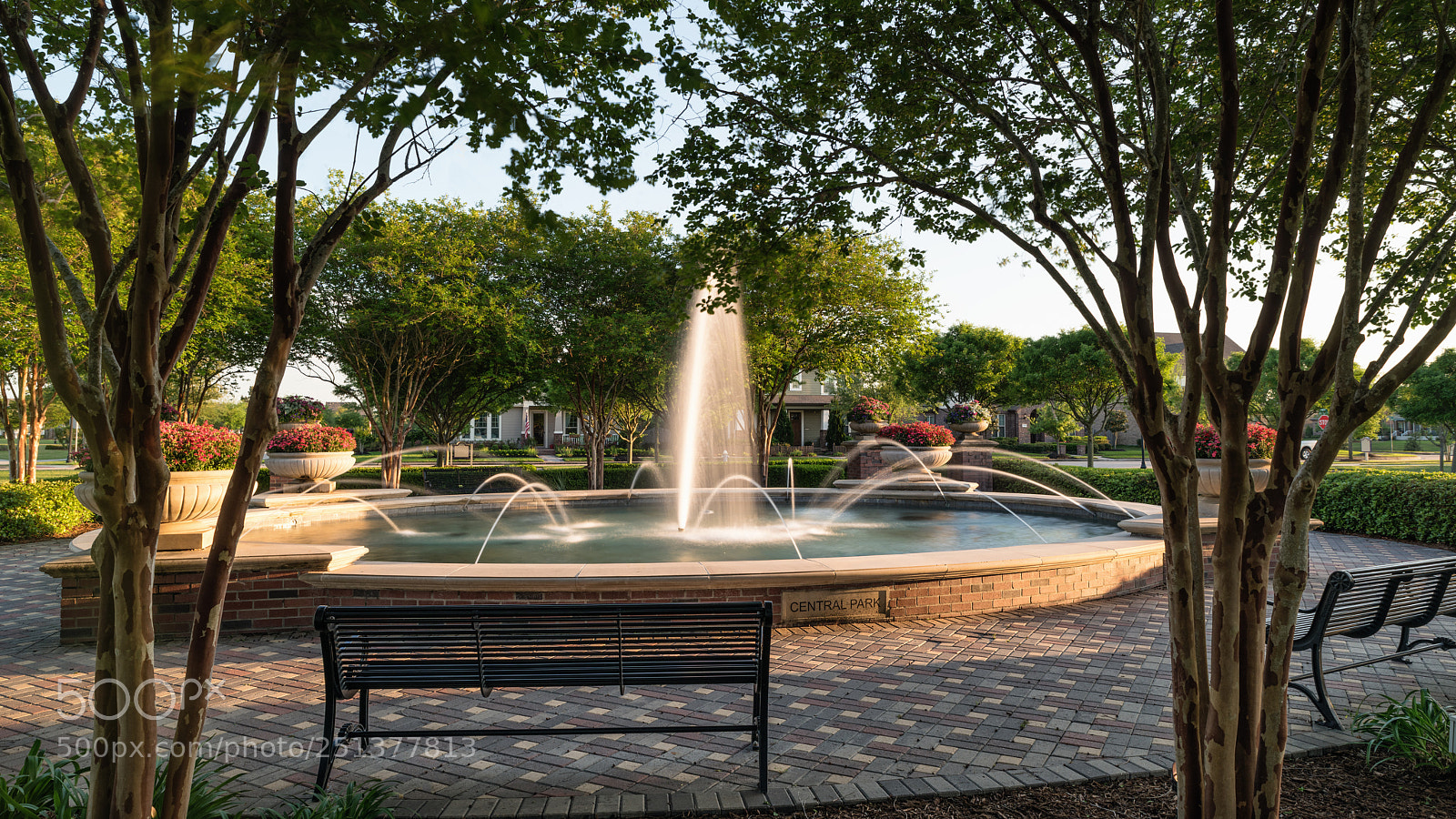 Nikon D850 sample photo. Bridgeland mar 2018 photography