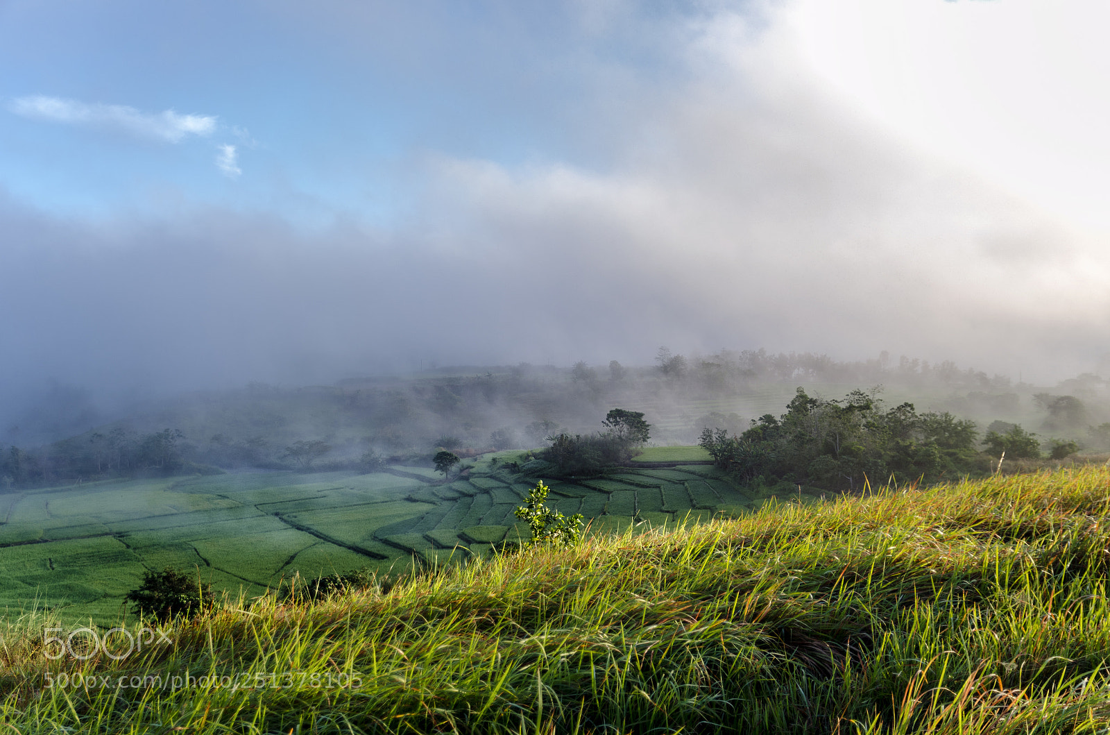 Nikon D7000 sample photo. A misty morning over photography