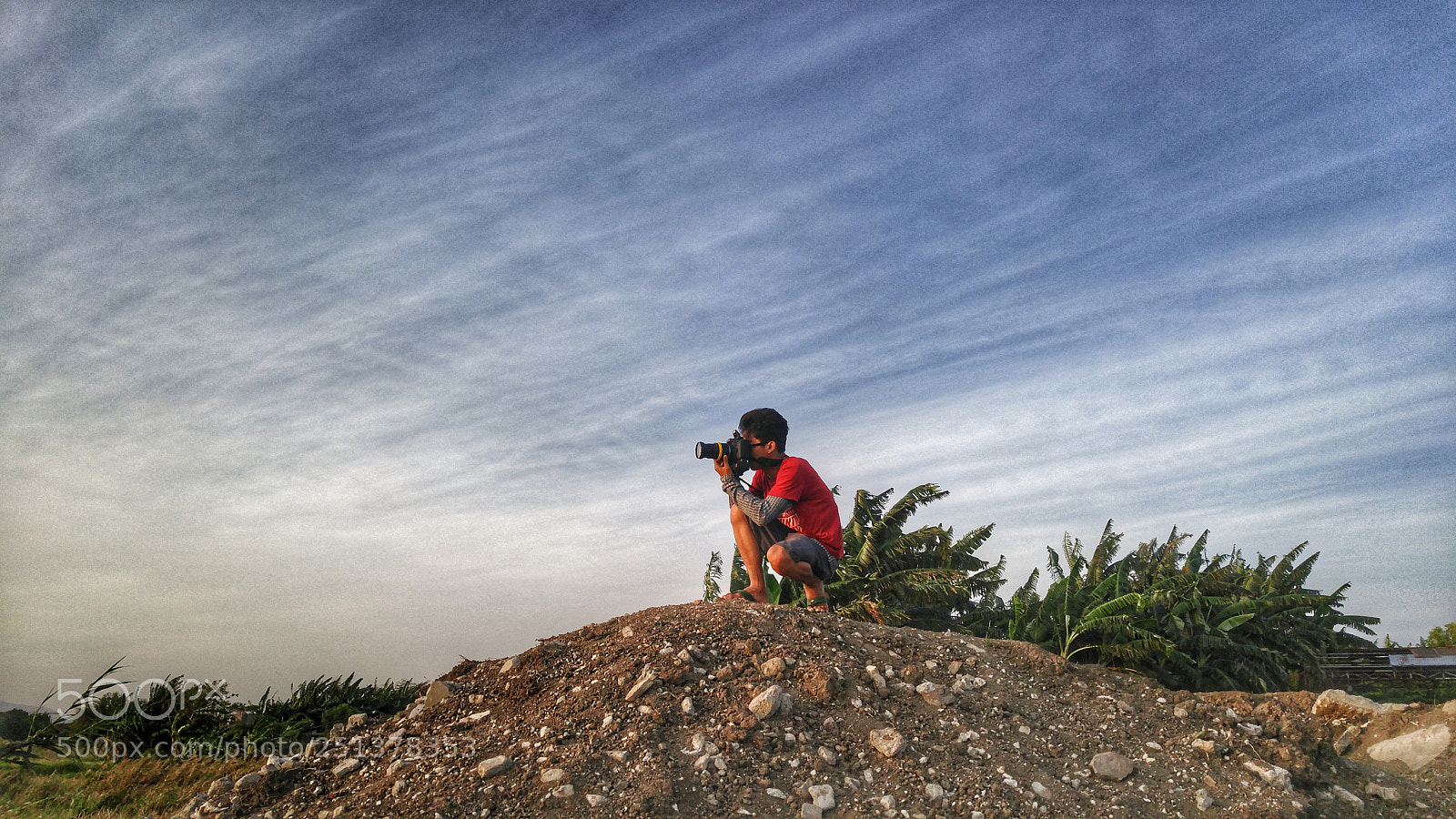 LG G4 sample photo. Untitled photography