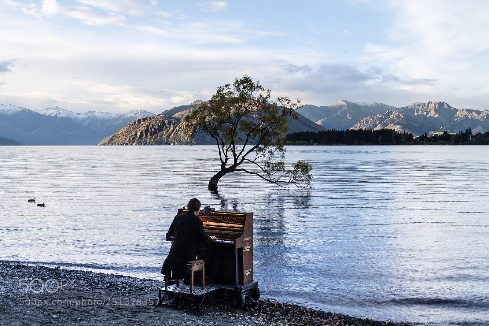 Canon EOS 60D sample photo. Wanaka tree at sunset photography