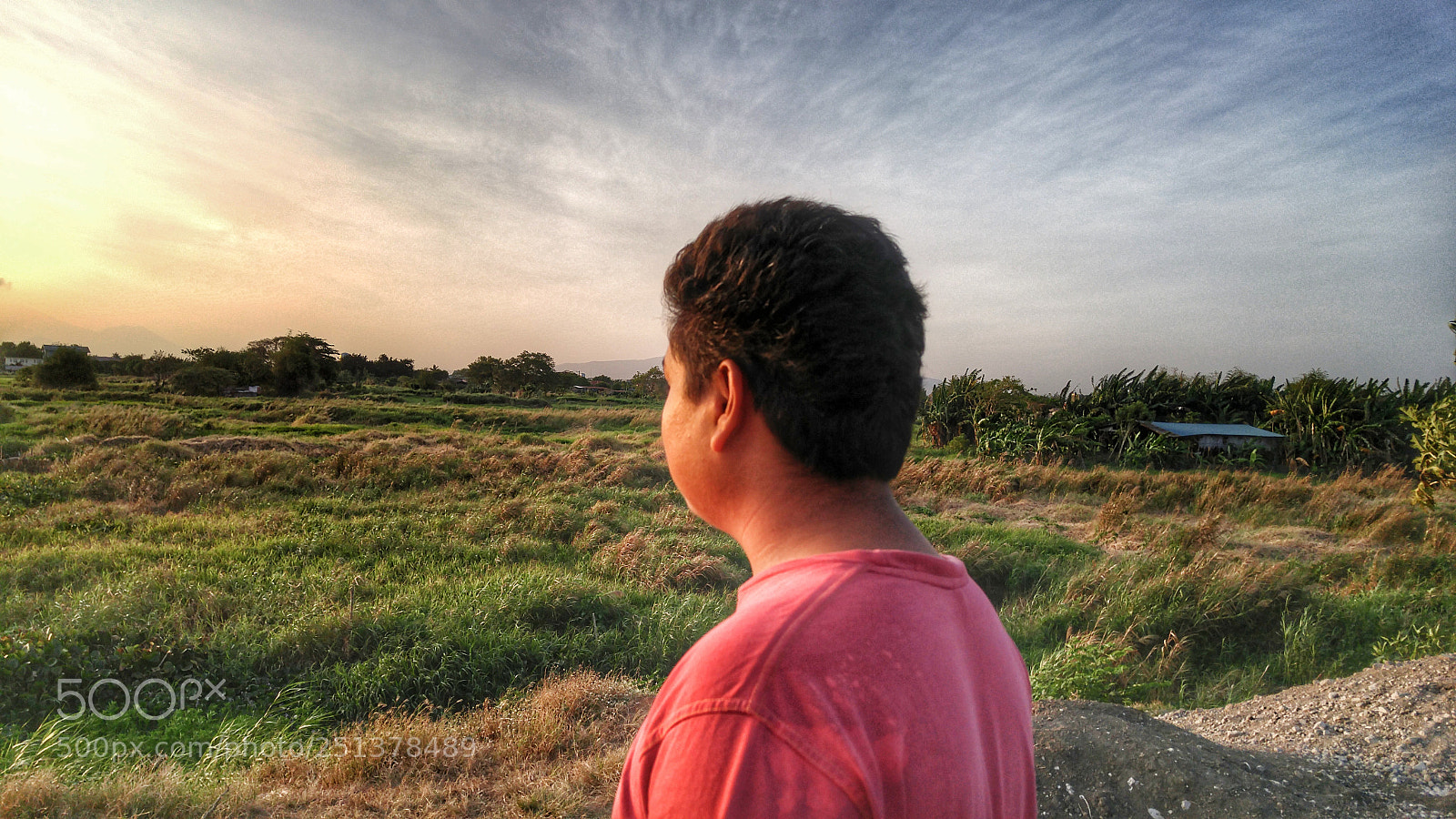 LG G4 sample photo. Untitled photography
