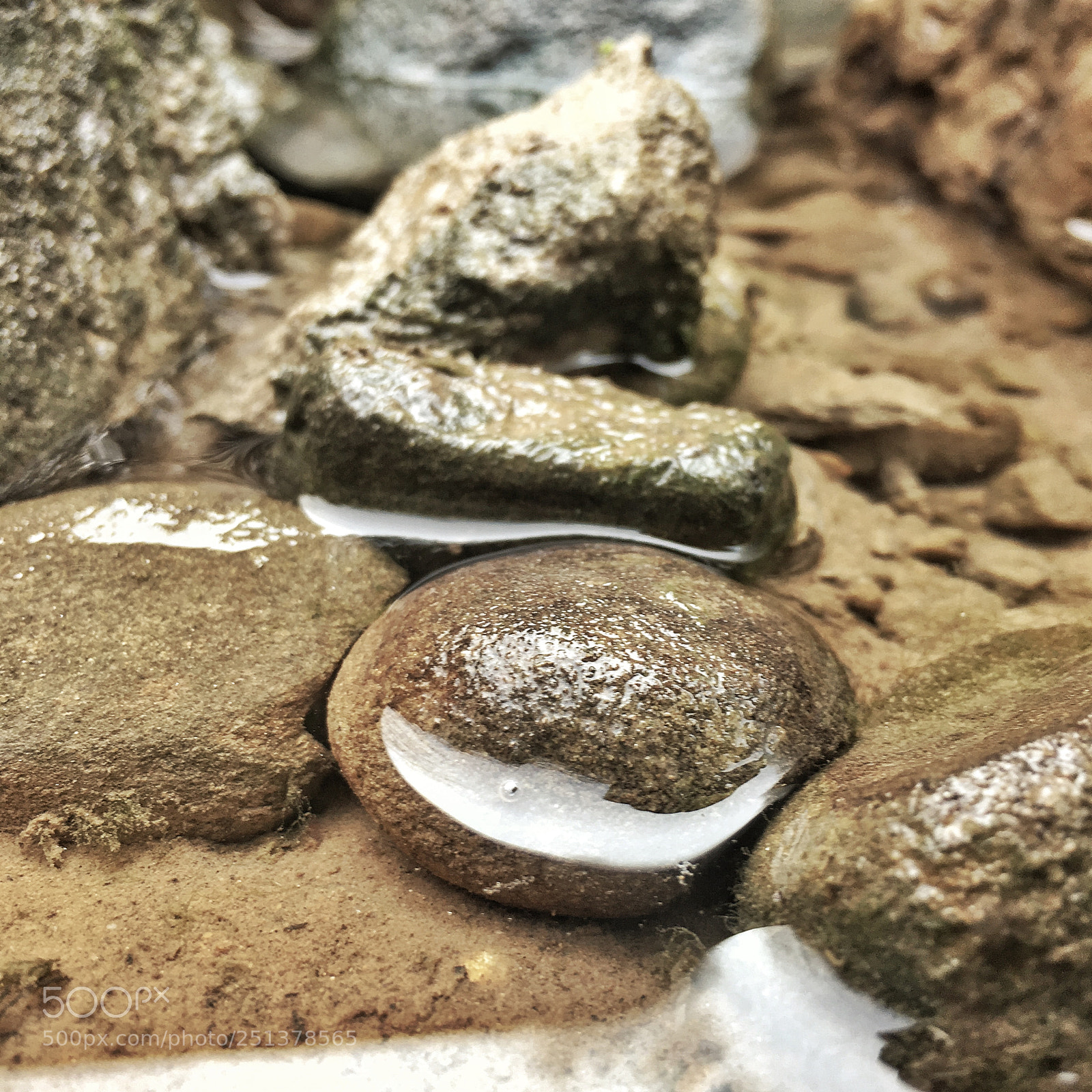 Apple iPhone 6s Plus sample photo. Untitled photography