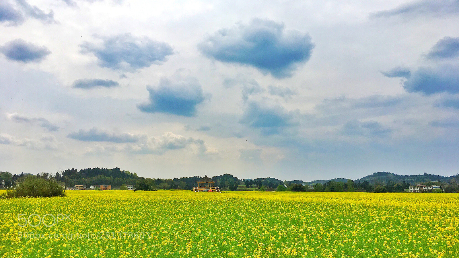Apple iPhone 6s Plus sample photo. Untitled photography