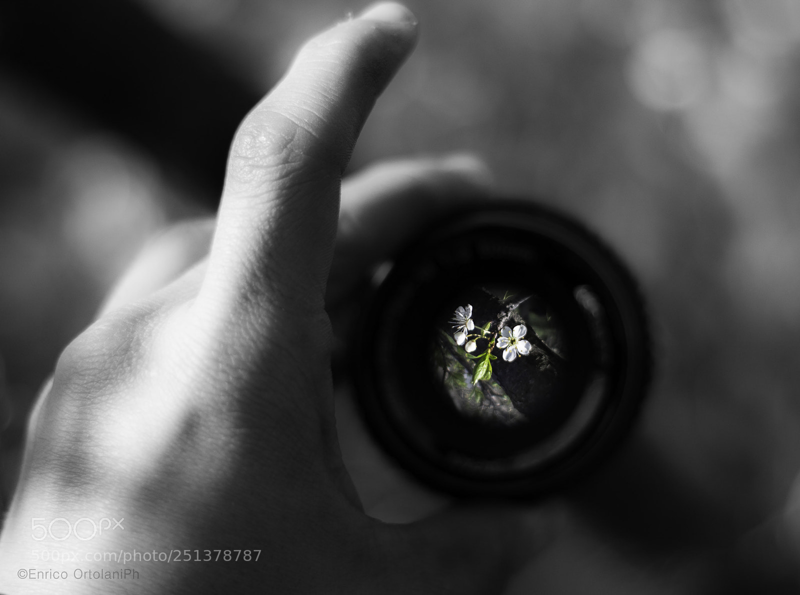 Nikon D3100 sample photo. Upsidedown photography