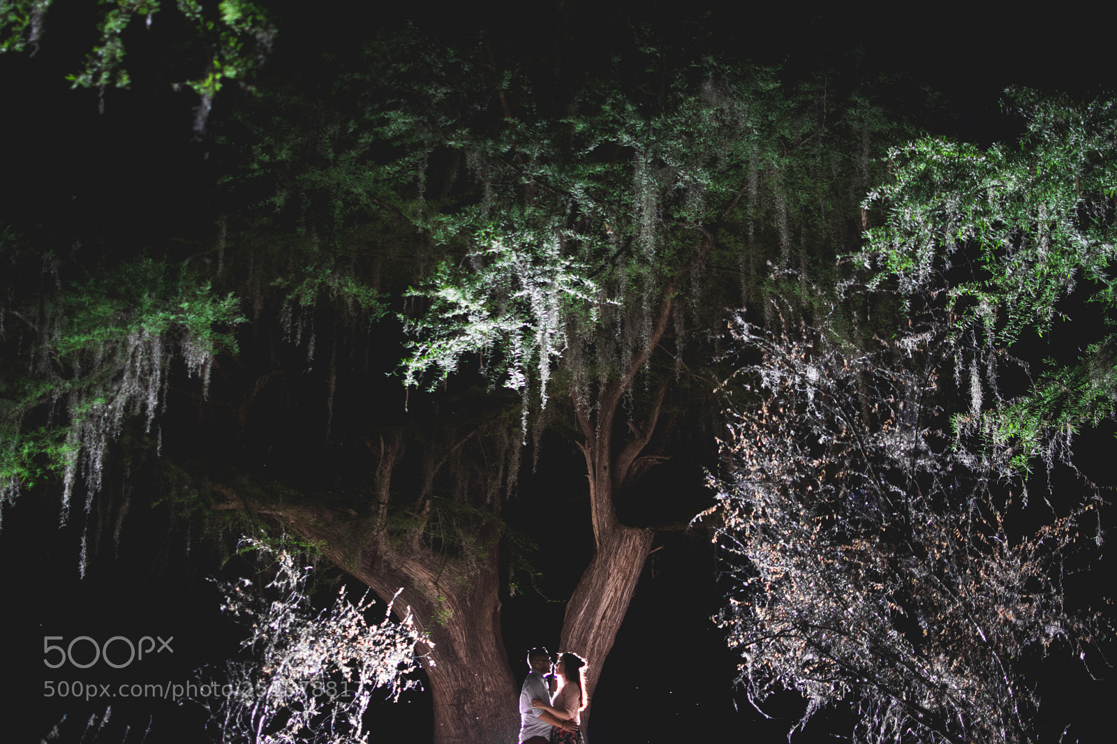 Nikon D7100 sample photo. Leonardo & karla photography