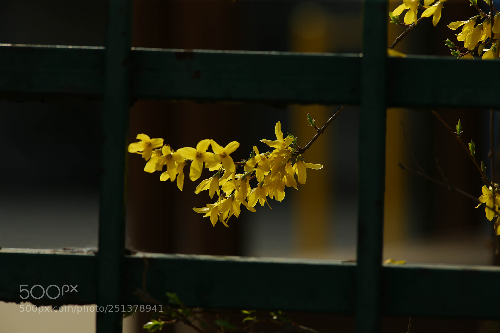 Canon EOS-1D X sample photo. Korea photography