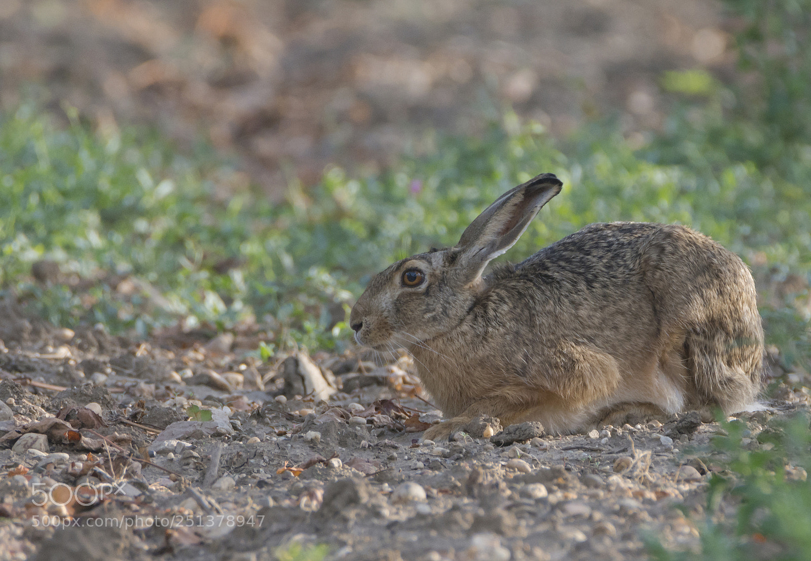 Nikon D7100 sample photo. Ich w nsche allen photography