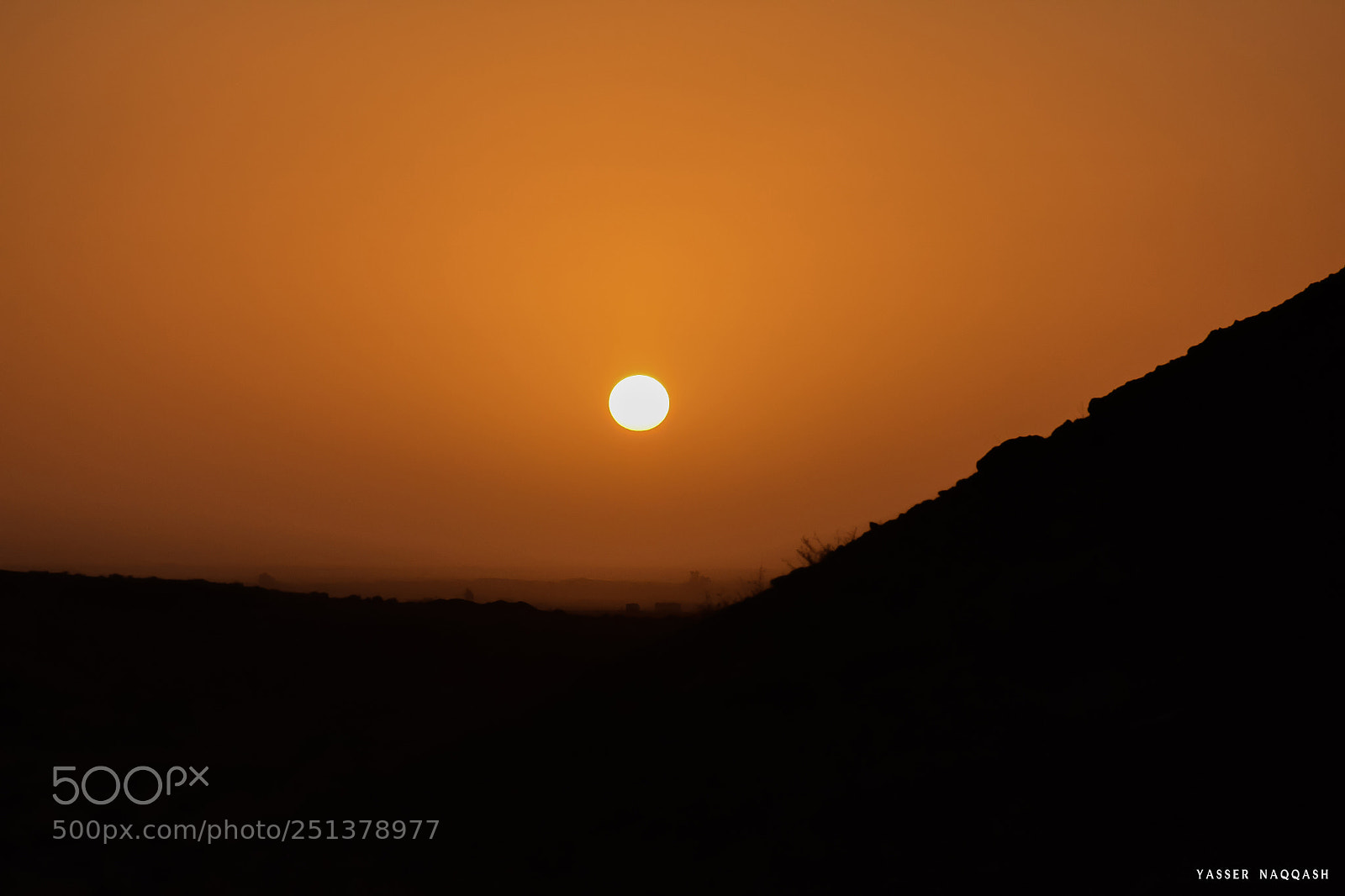 Nikon D7100 sample photo. Orange photography