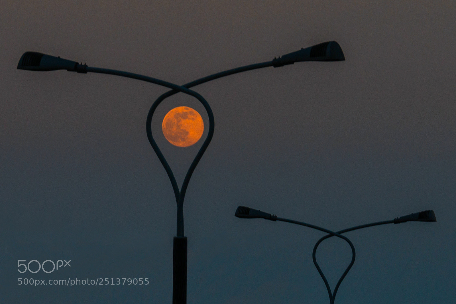 Nikon D800 sample photo. Girdled moon photography