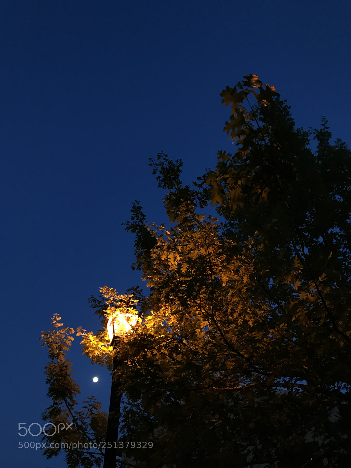Apple iPhone 7 sample photo. Moon and firelight photography