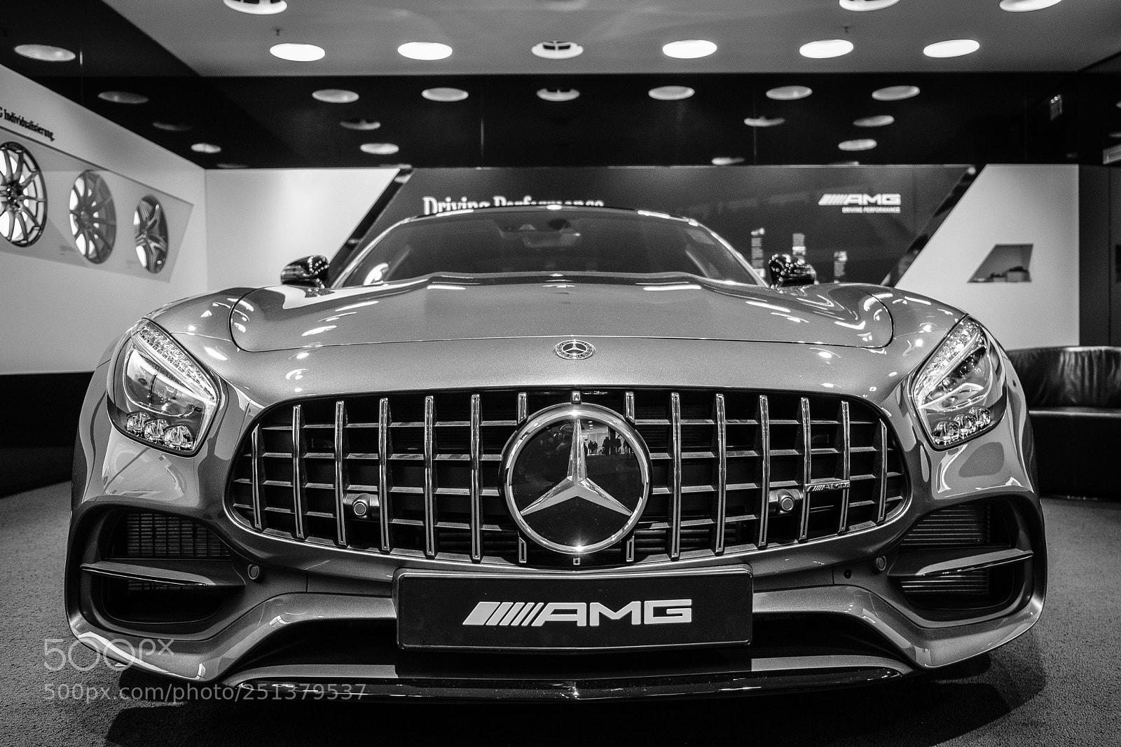 Fujifilm X-T20 sample photo. Omg! - amg photography