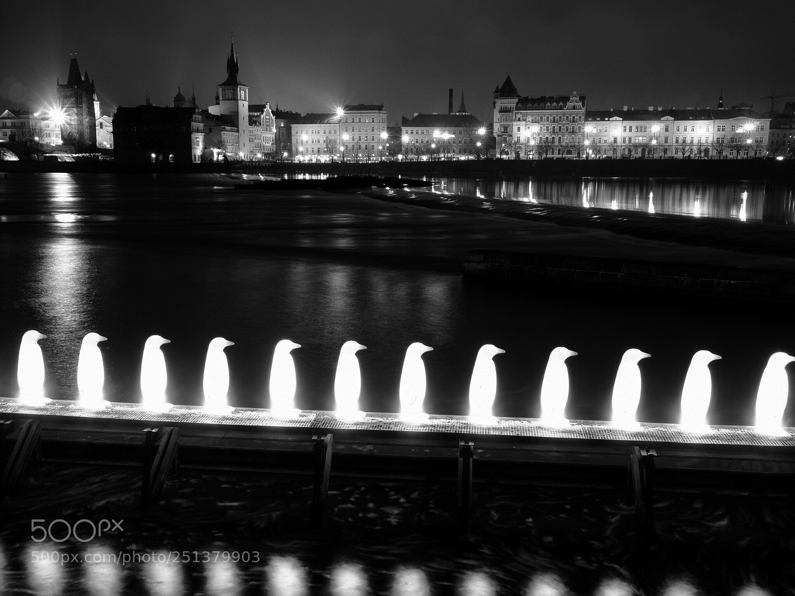 Olympus PEN-F sample photo. I pinguini di praga photography