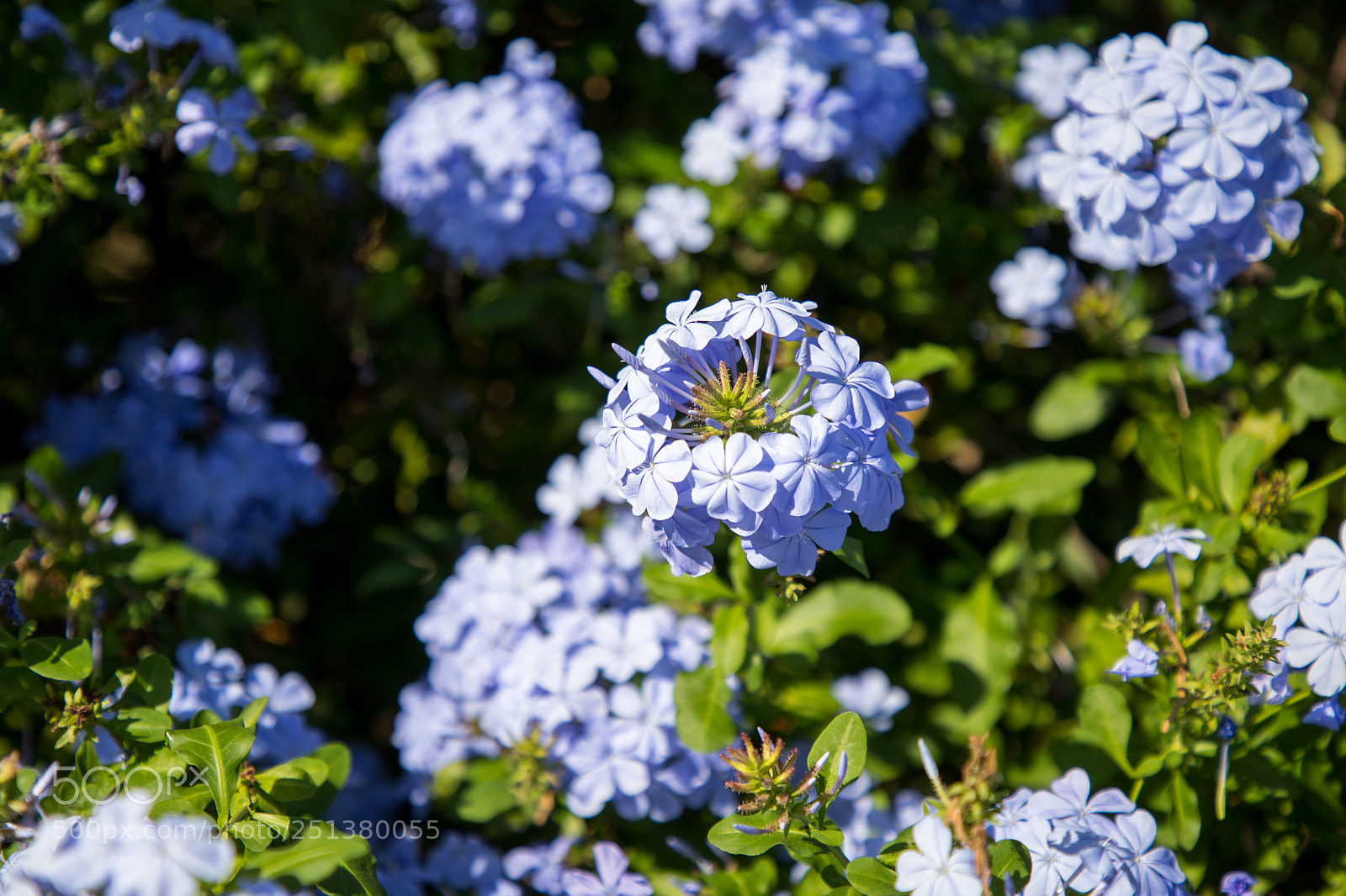 Canon EOS 6D Mark II sample photo. Floral easter photography
