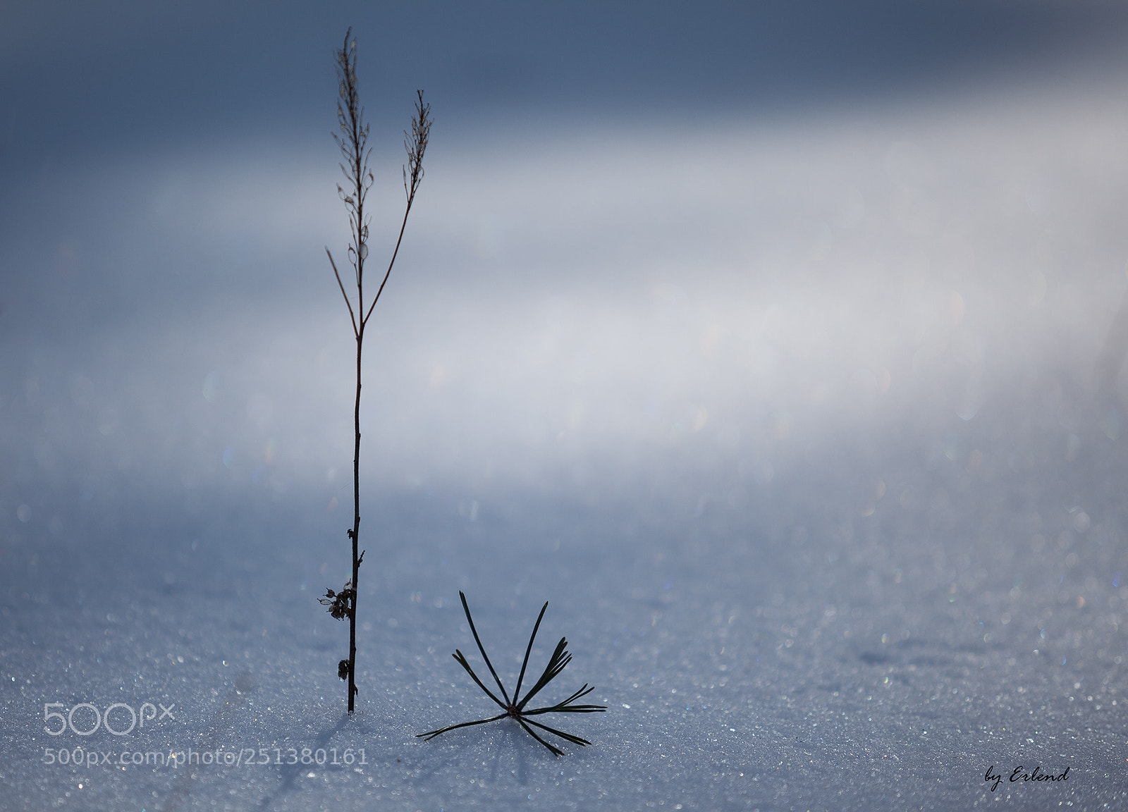 Canon EOS 5D Mark II sample photo. Couple on snow photography