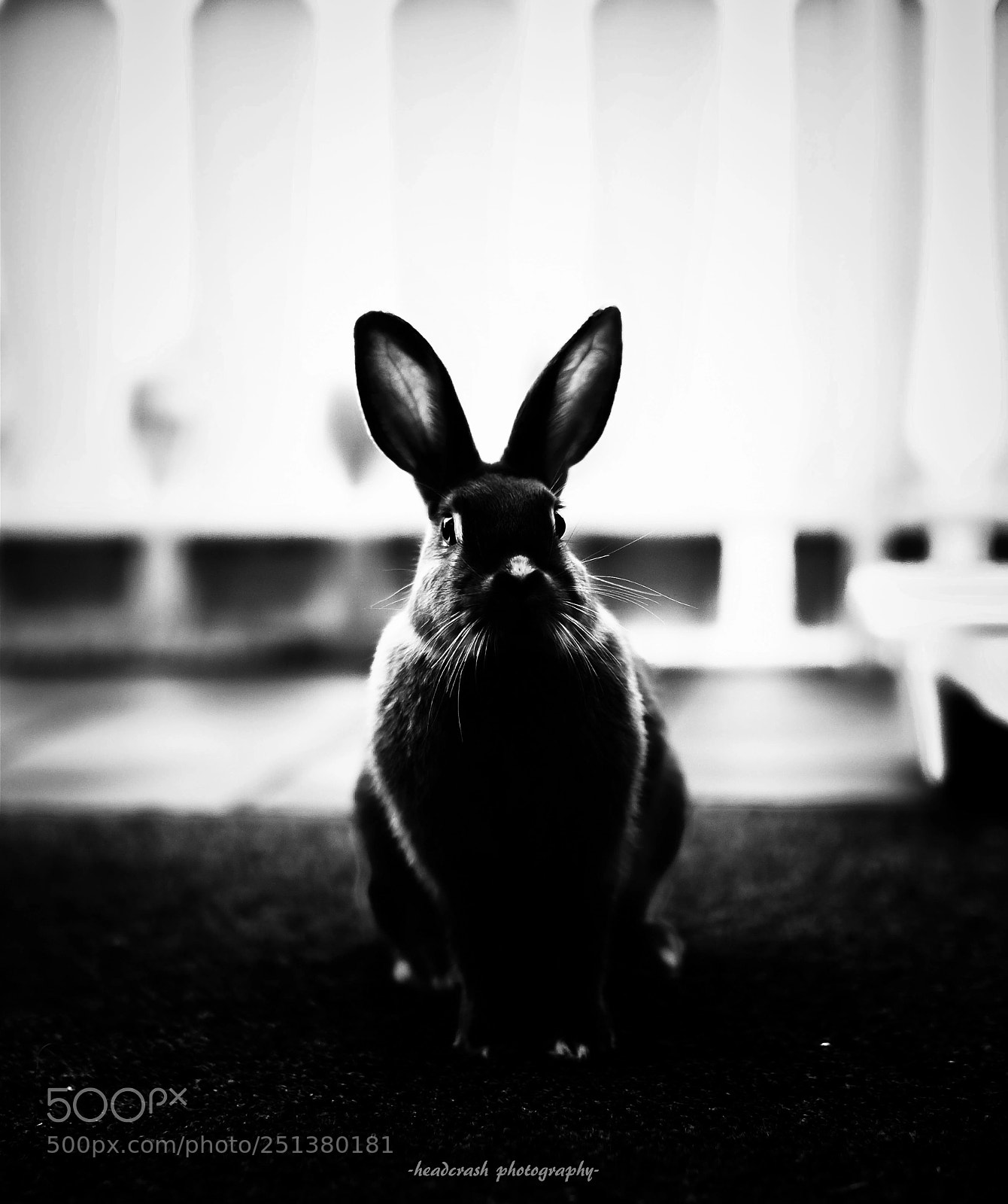 Fujifilm X-E2 sample photo. Happy eastern photography