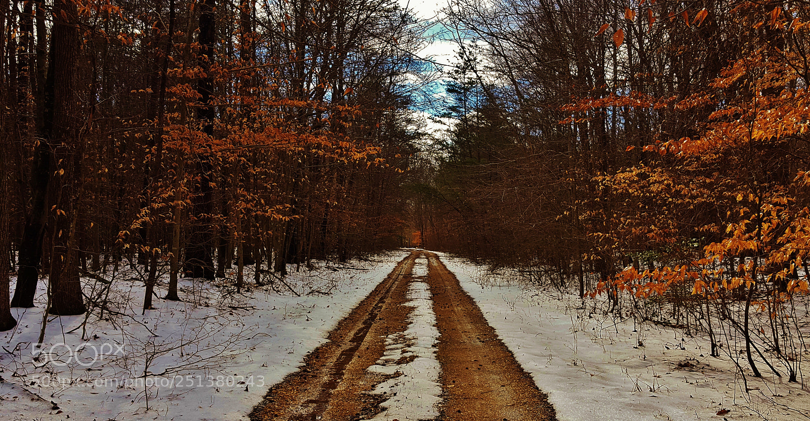 Samsung Galaxy S6 sample photo. Telegraph road snow scene 2018 photography