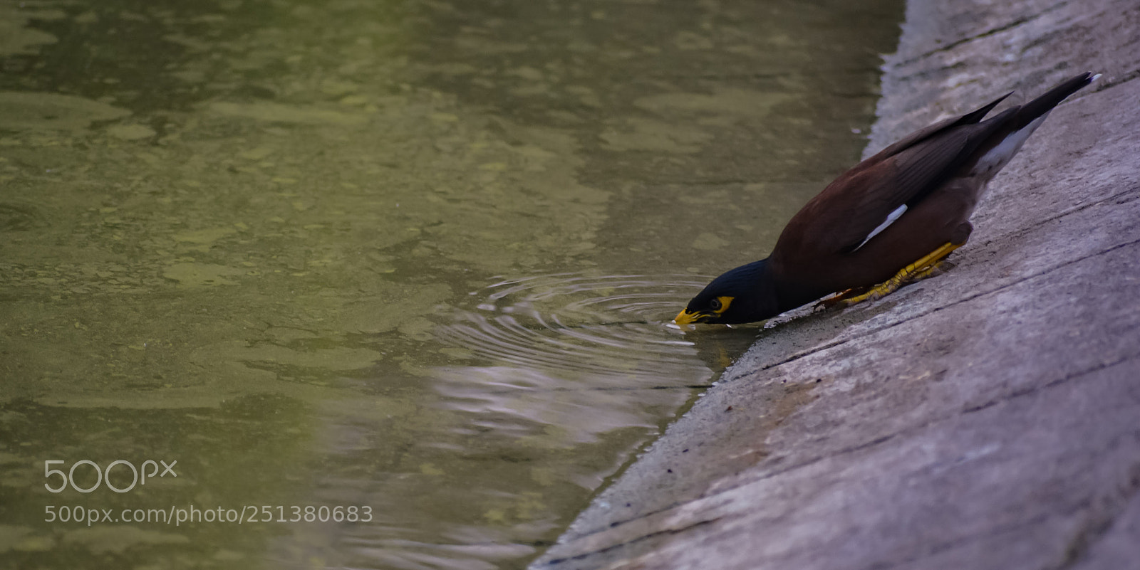 Nikon D5200 sample photo. Untitled photography
