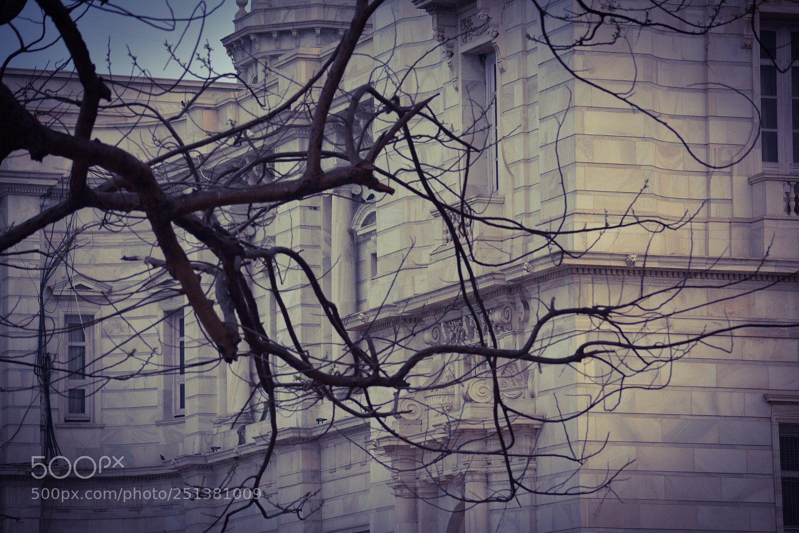 Nikon D5200 sample photo. Untitled photography