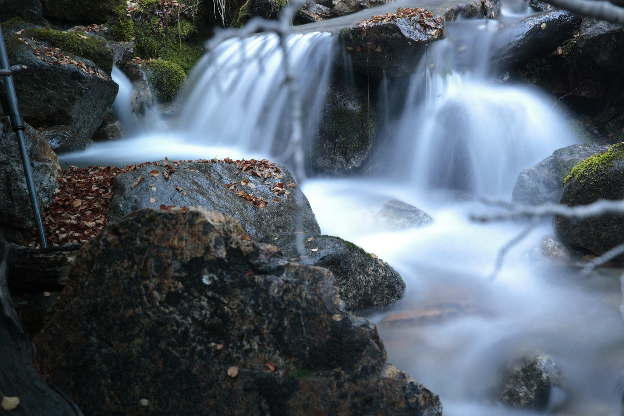 Canon EOS-1D X sample photo. P photography
