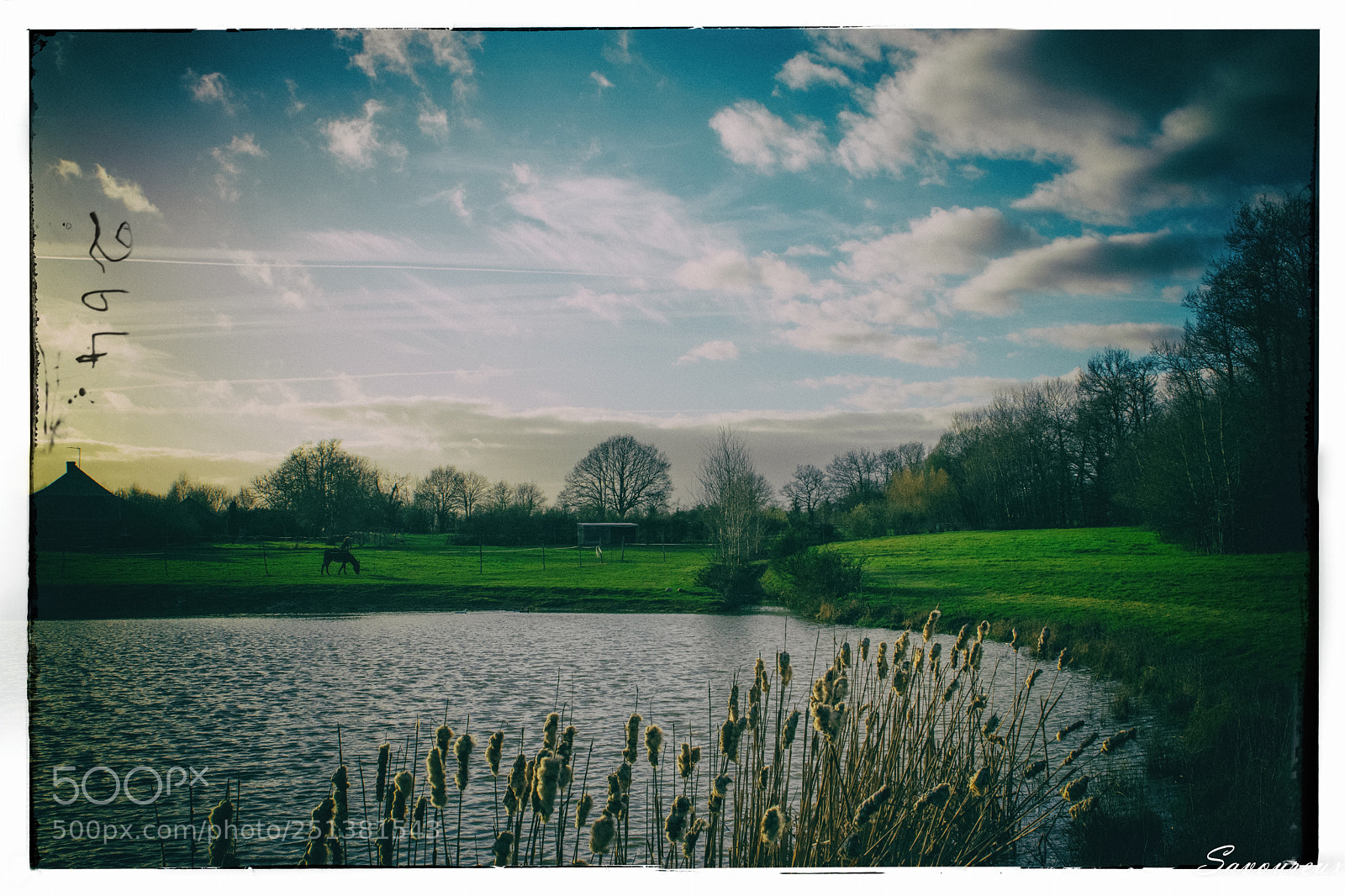 Nikon D5500 sample photo. Carte postale du jardin photography