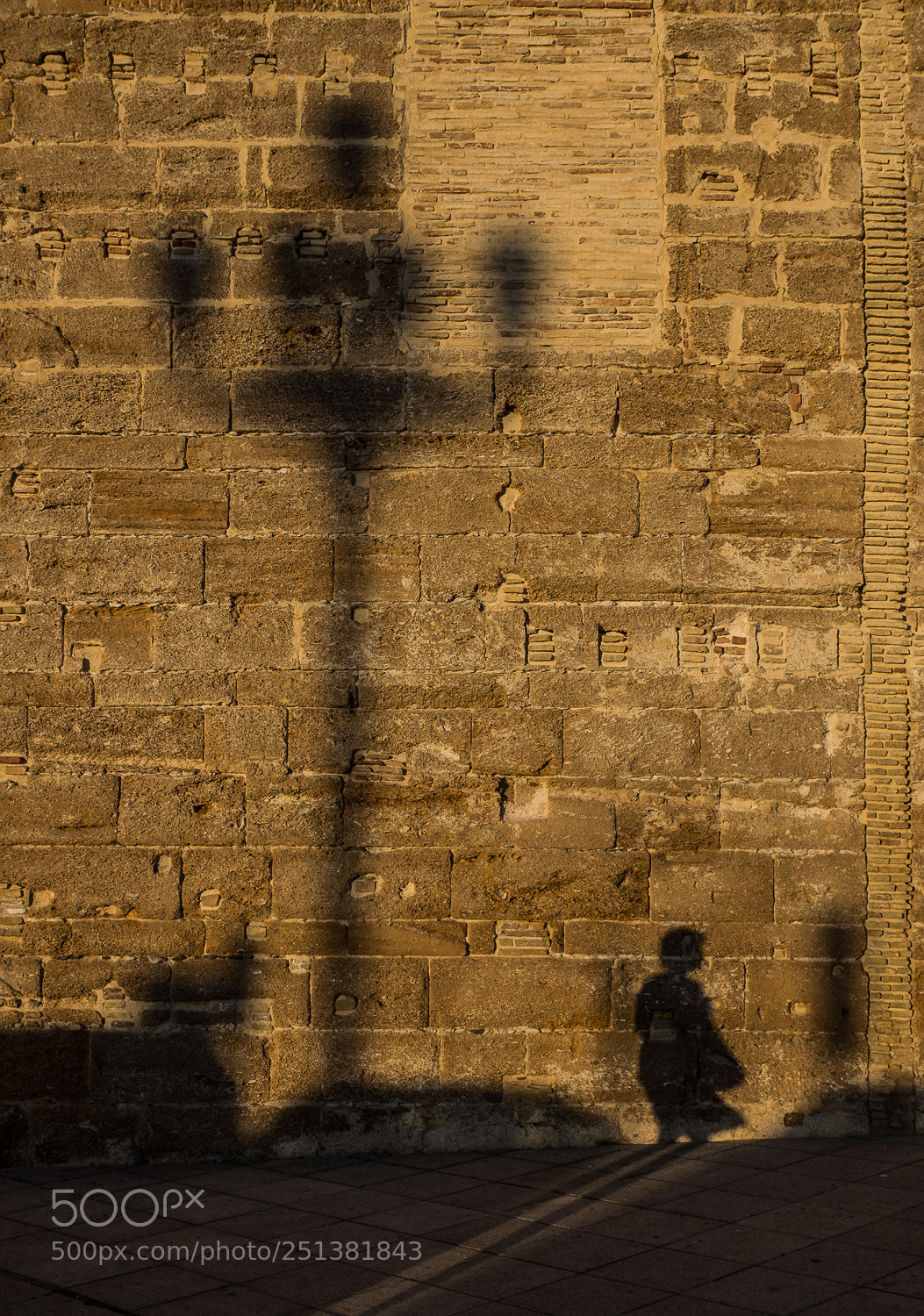 Sony SLT-A77 sample photo. Die frau mit den photography