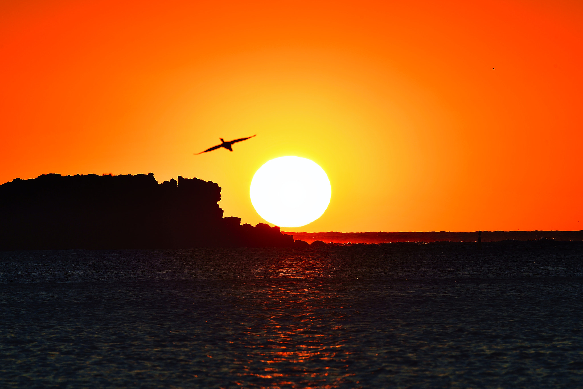 Nikon D5 sample photo. Point photography