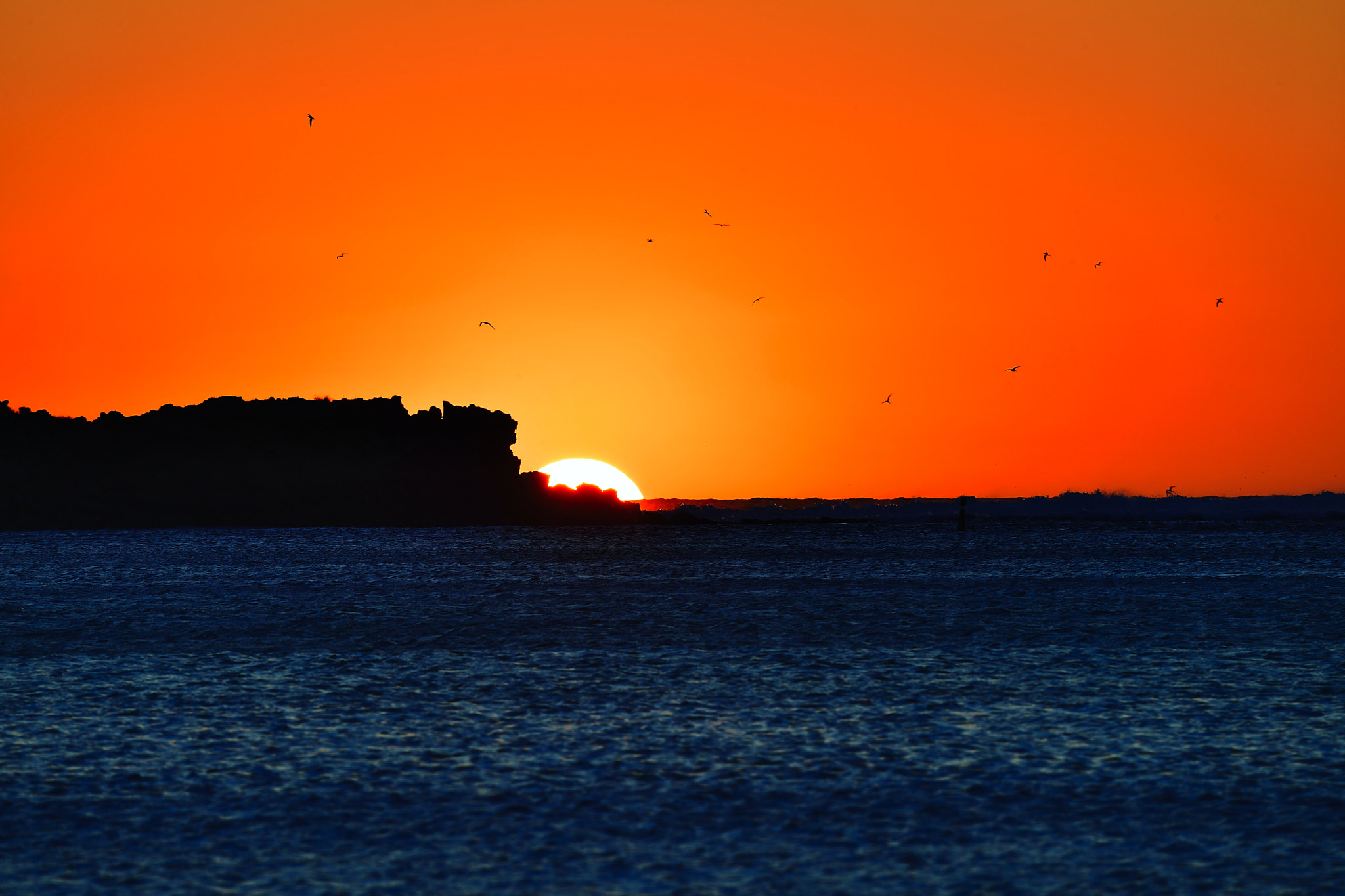 Nikon D5 sample photo. Never photography
