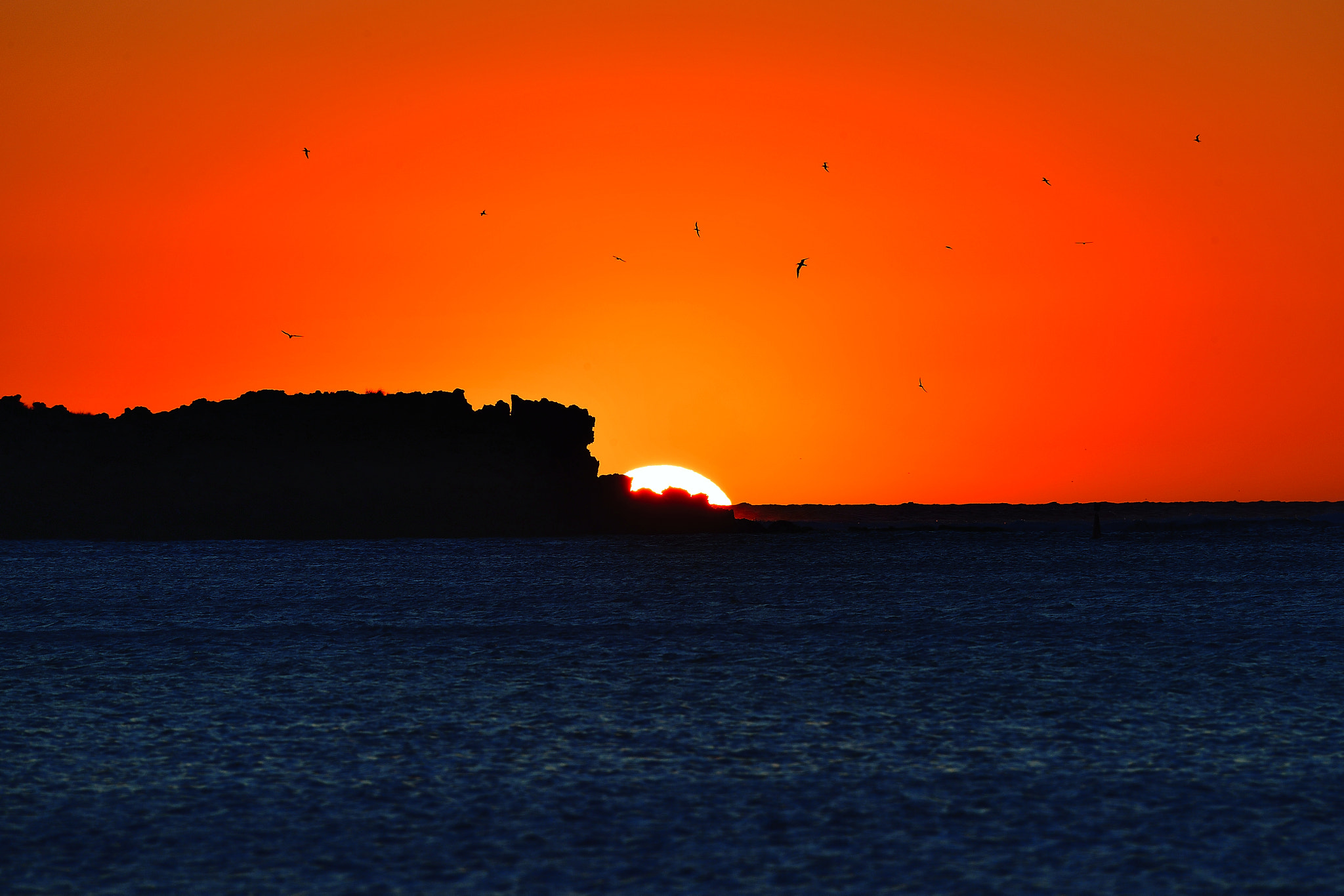 Nikon D5 sample photo. Easy photography