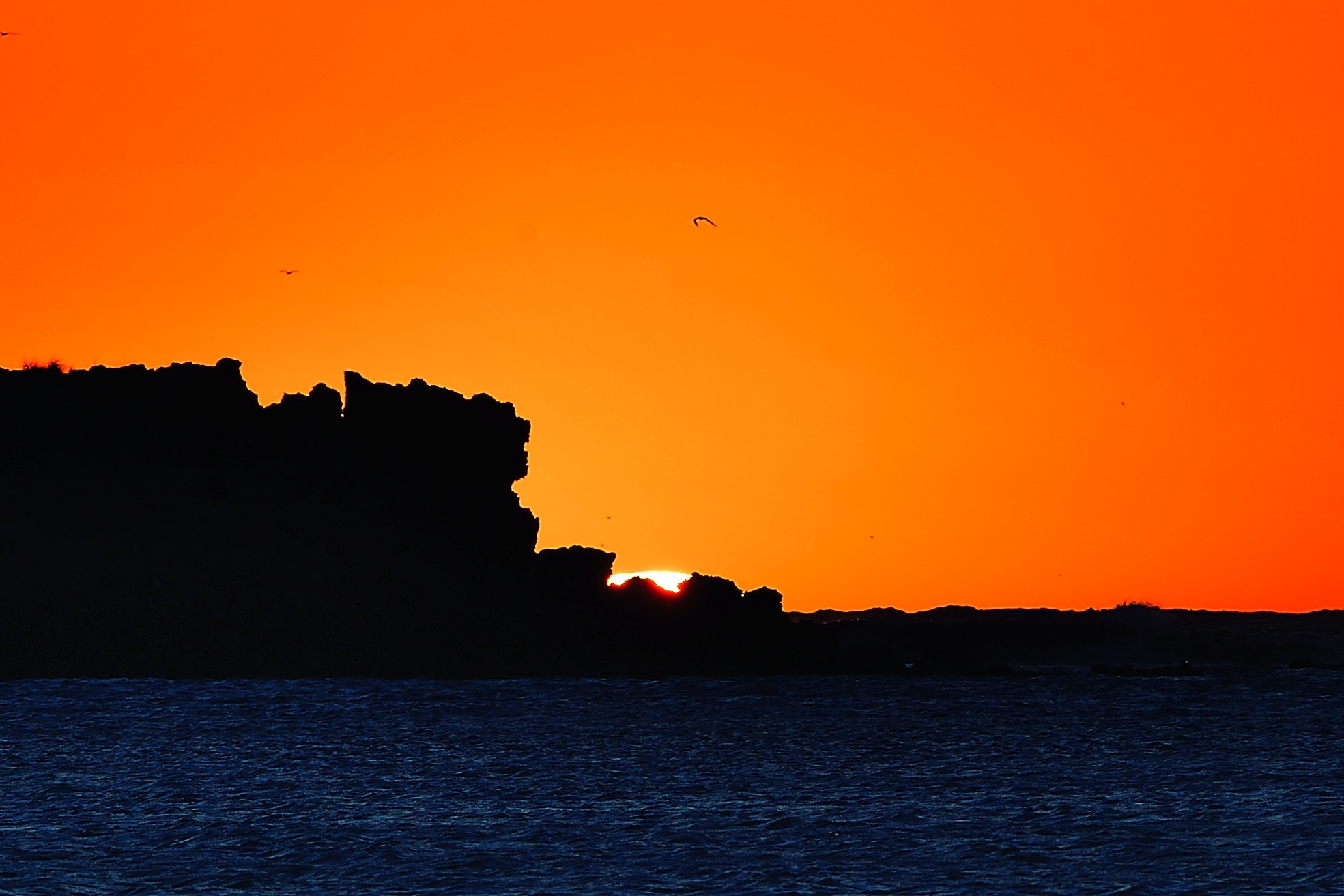 Nikon D5 sample photo. Lasting photography