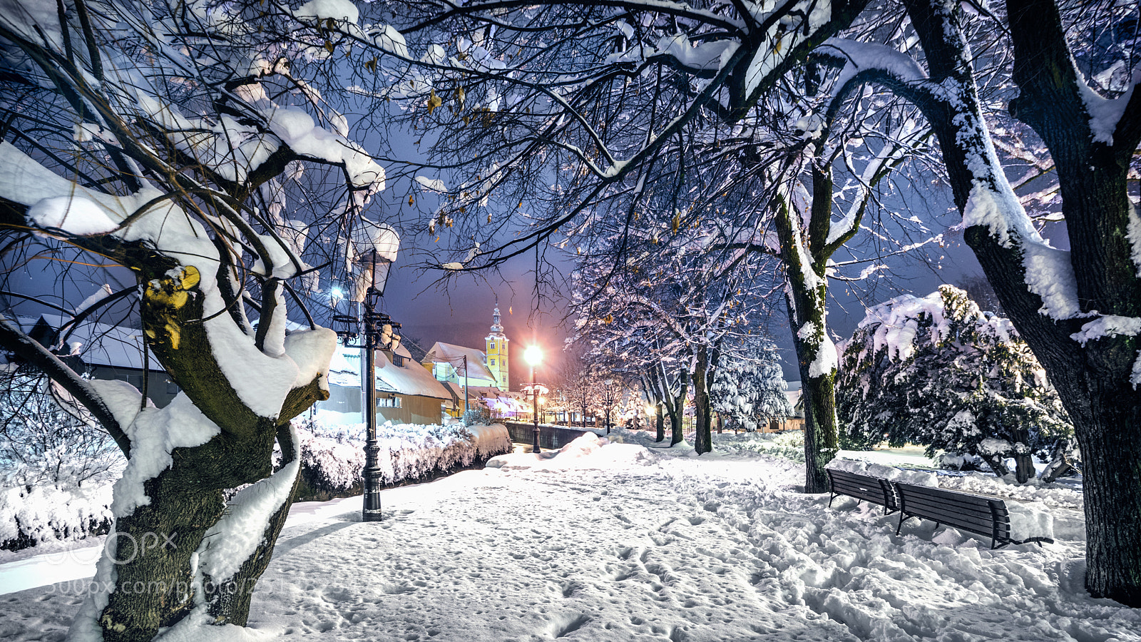 Nikon D7100 sample photo. Samobor park winter snow photography