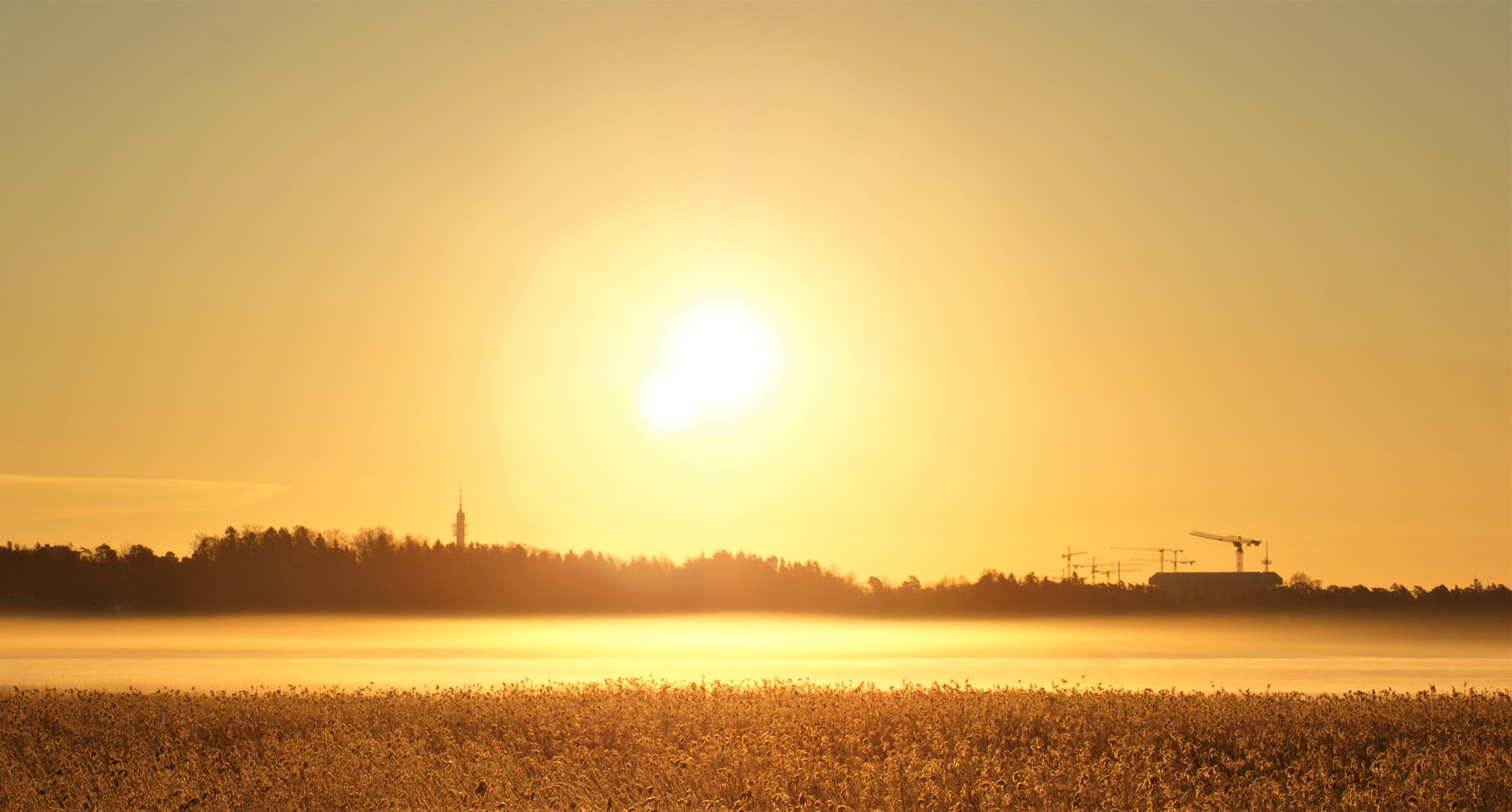 Sony Alpha DSLR-A350 sample photo. Golden haze photography
