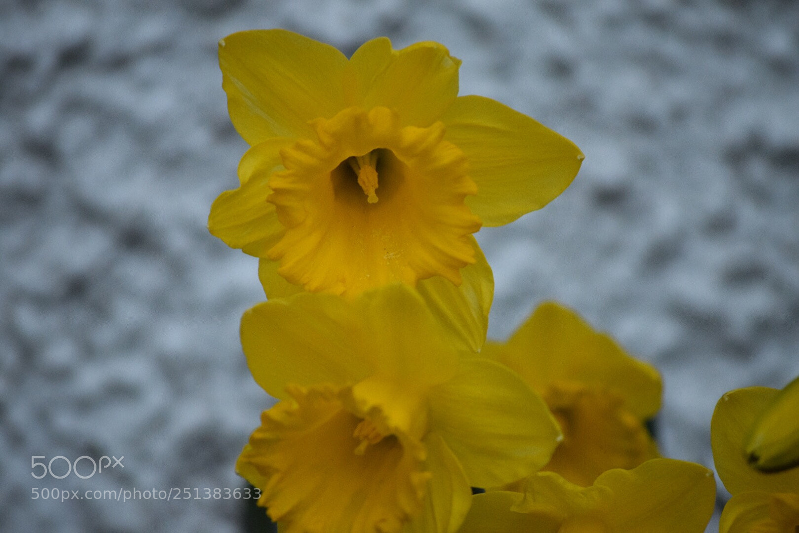 Nikon D5300 sample photo. Untitled photography