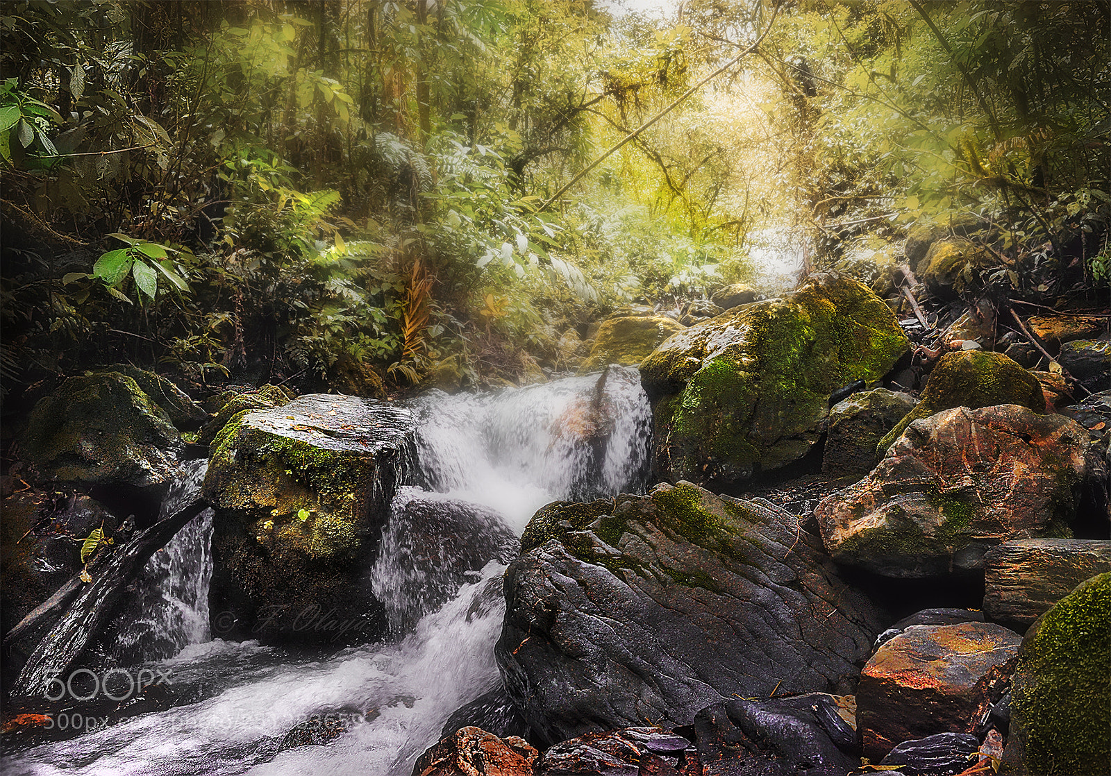 Nikon D5300 sample photo. Yacambú photography