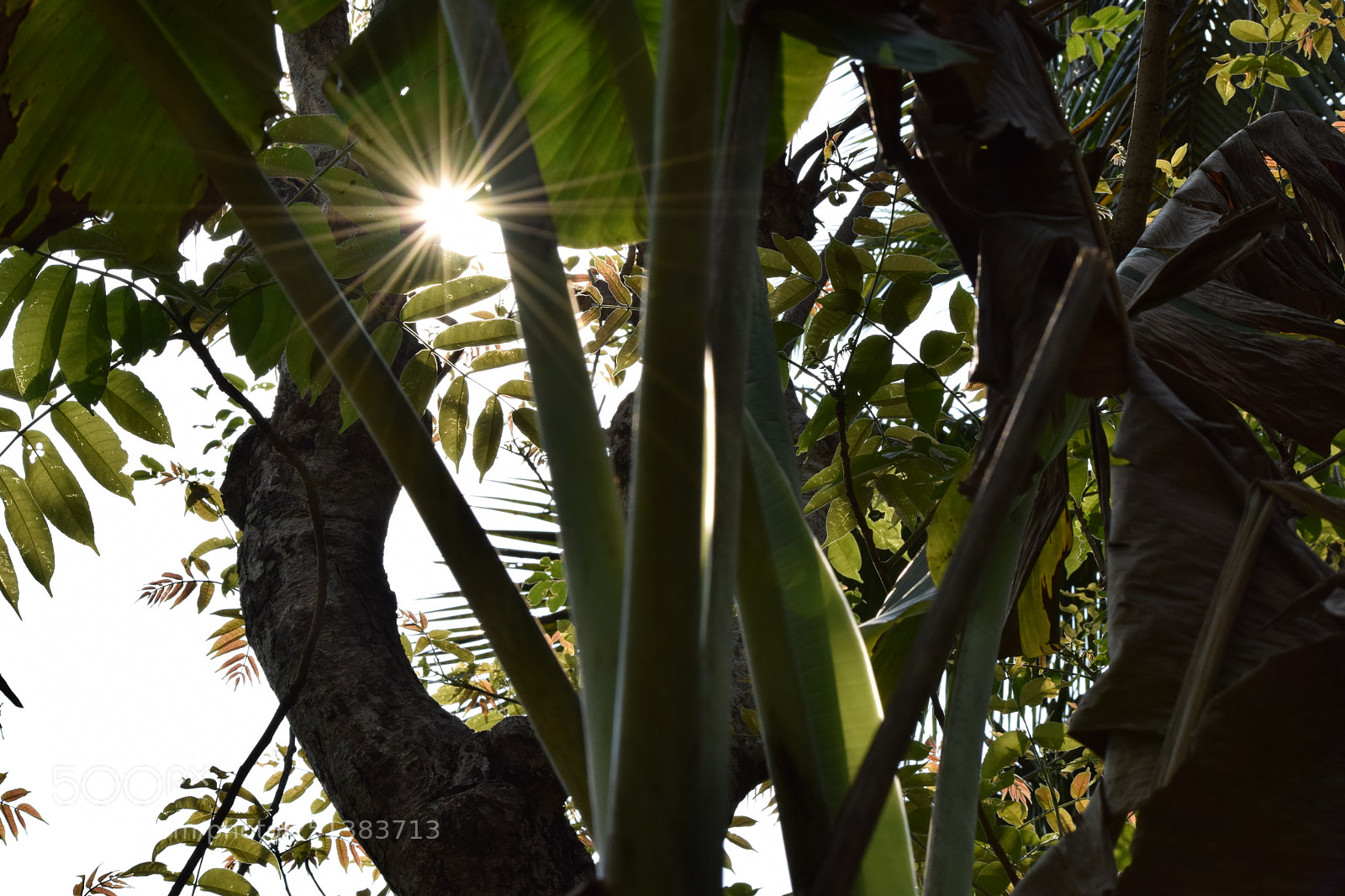 Nikon D3300 sample photo. A ray of hope photography