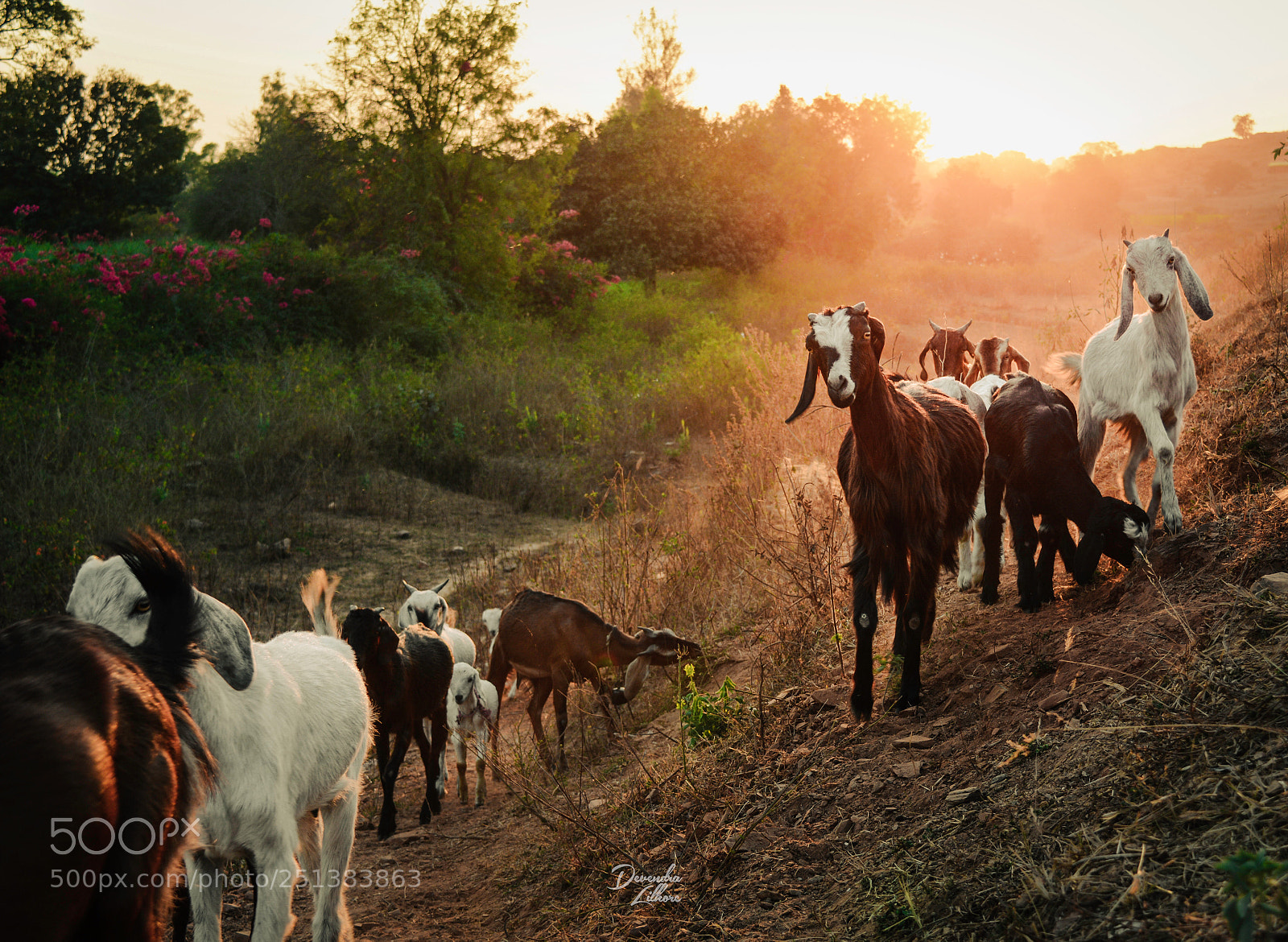 Nikon D5200 sample photo. Dusk... photography