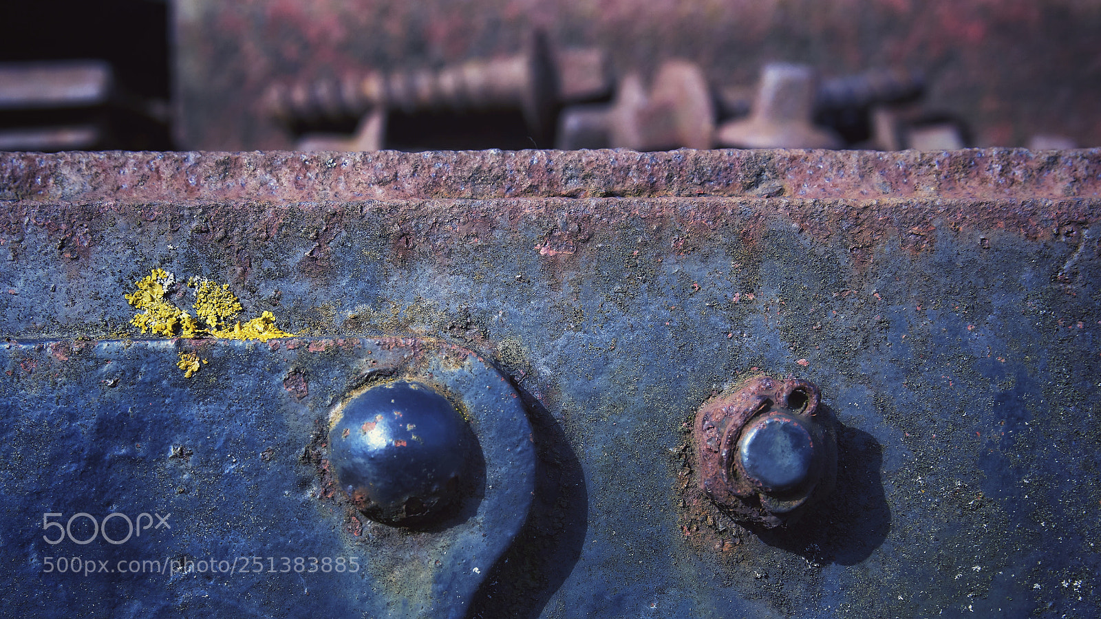 Sony ILCA-77M2 sample photo. Industrial moss photography