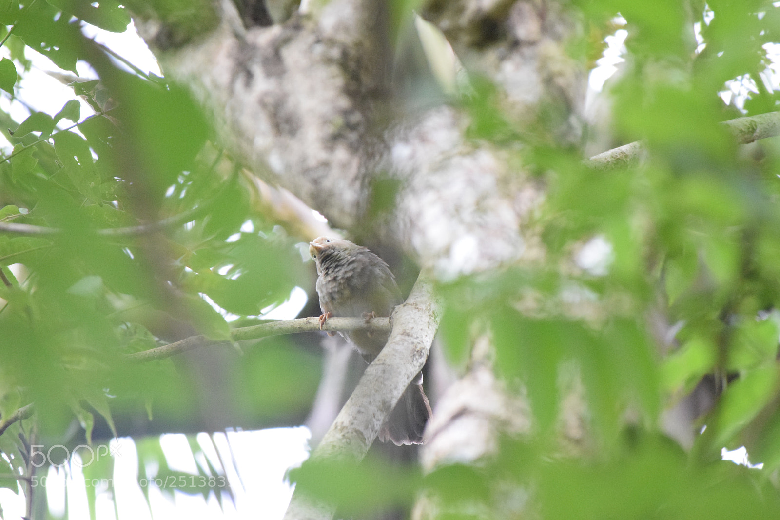 Nikon D3300 sample photo. I see you photography