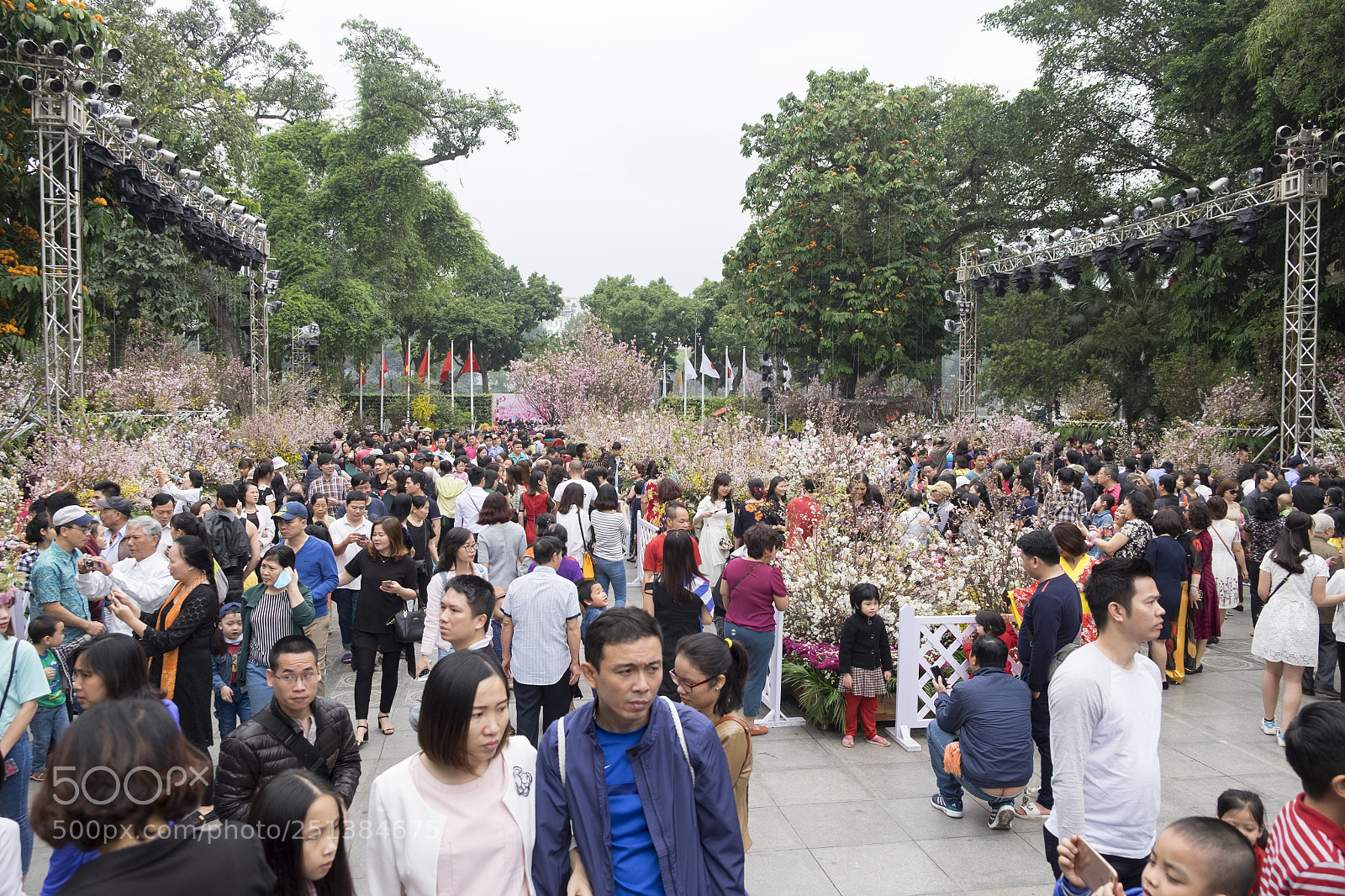 Fujifilm X-T10 sample photo. Sakura festival photography