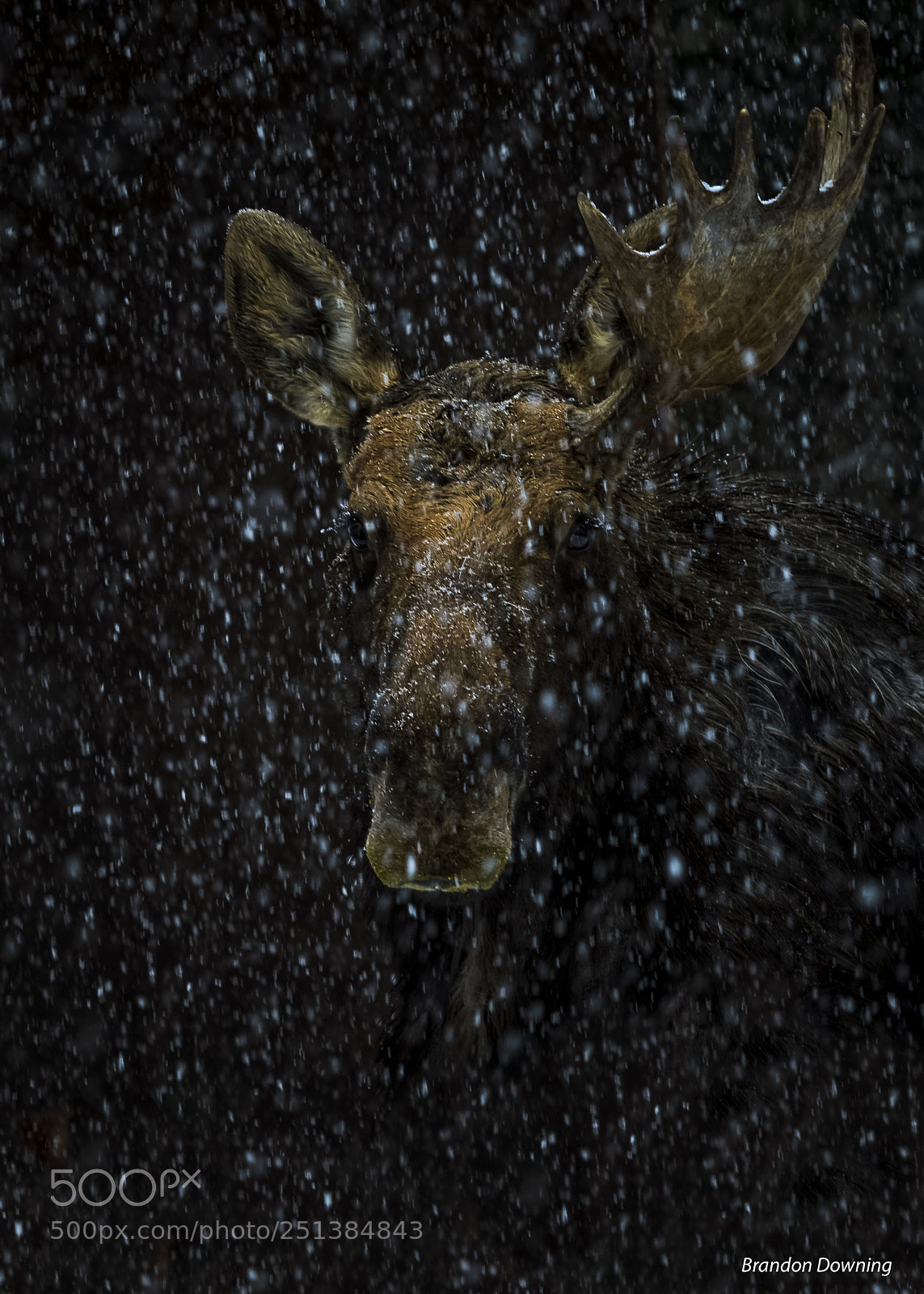 Nikon D500 sample photo. Welcome to the punchbowl photography