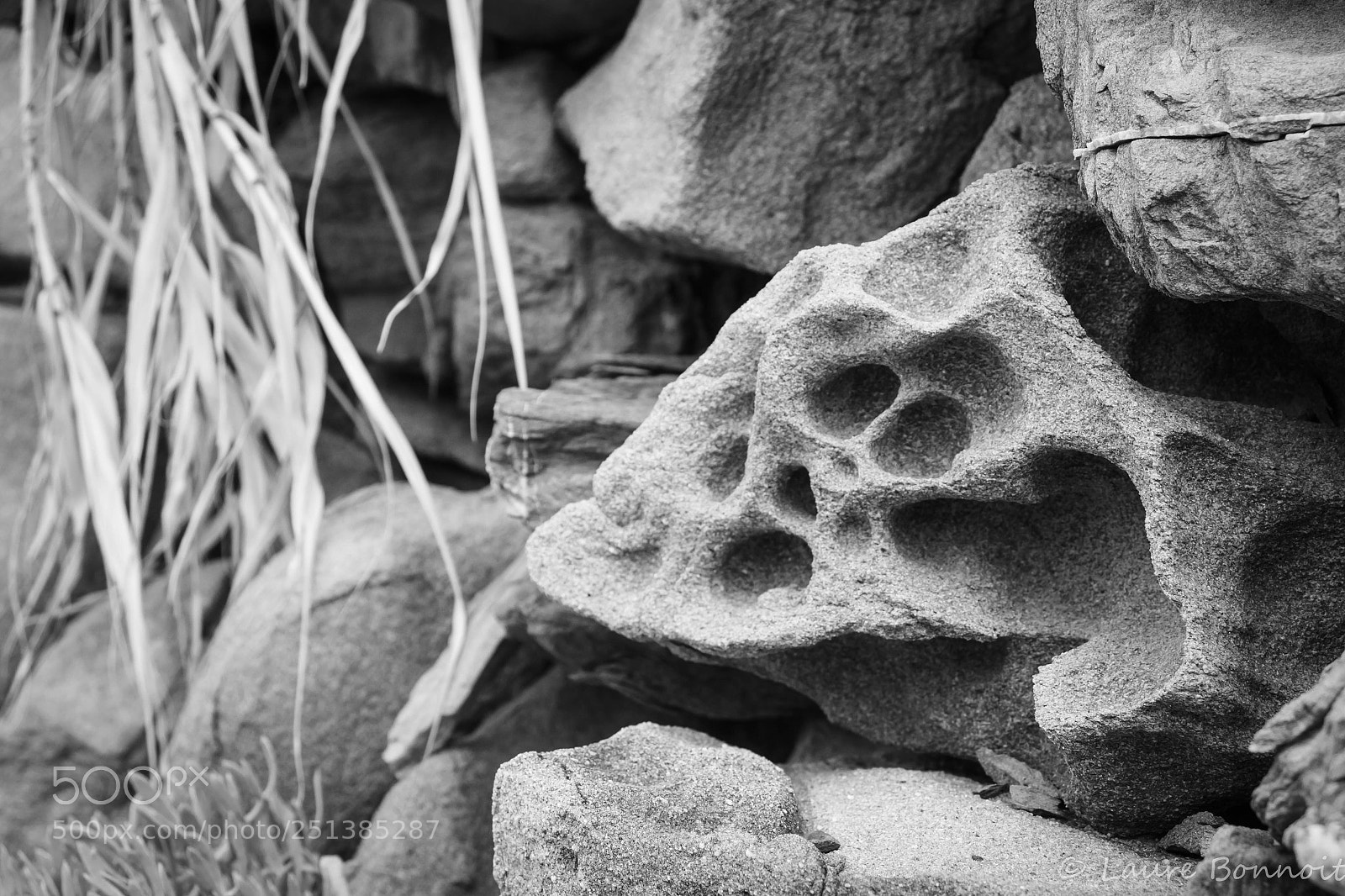 Canon EOS 70D sample photo. Abstrait photography