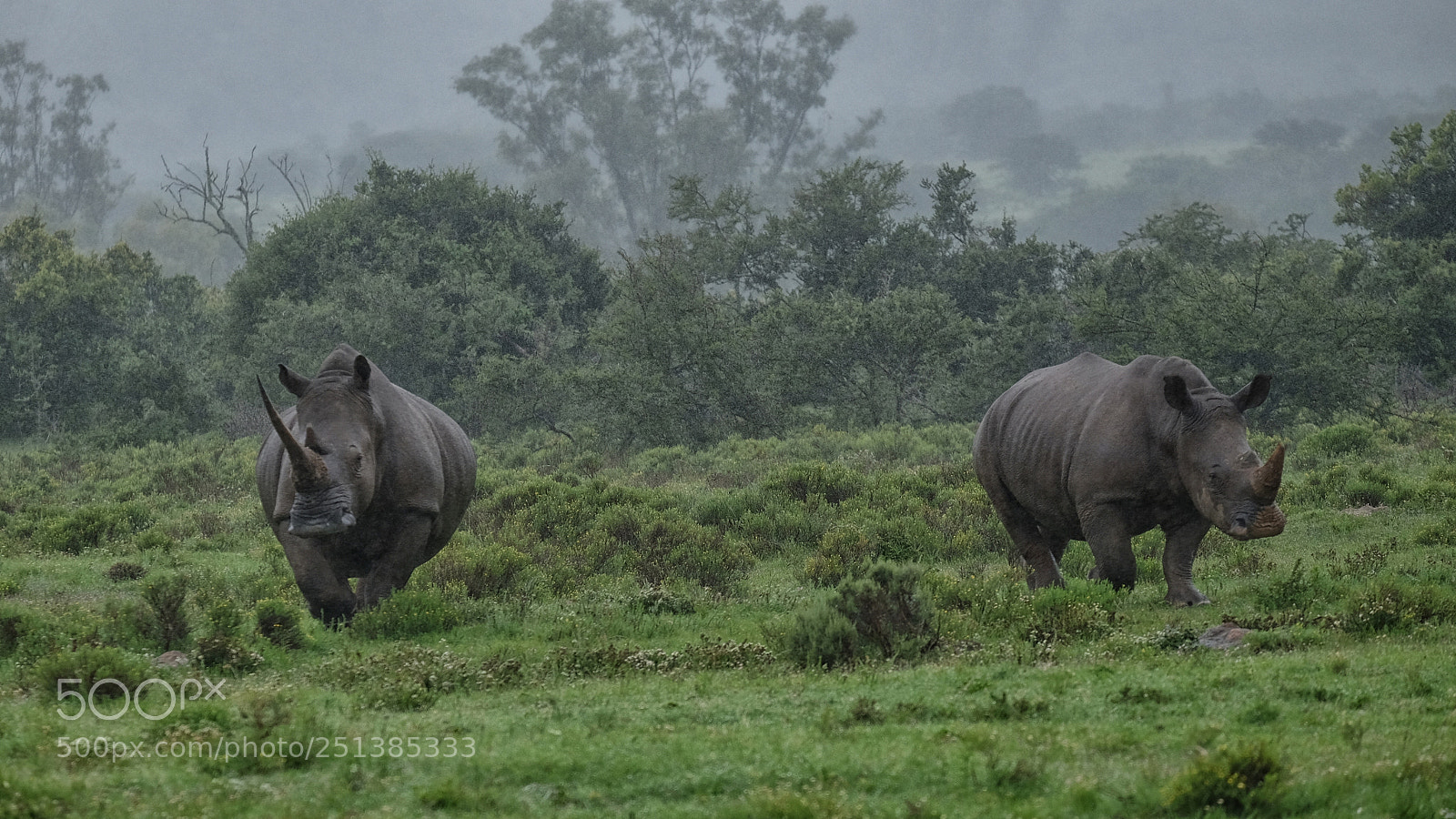 Fujifilm X-T10 sample photo. Africa photography