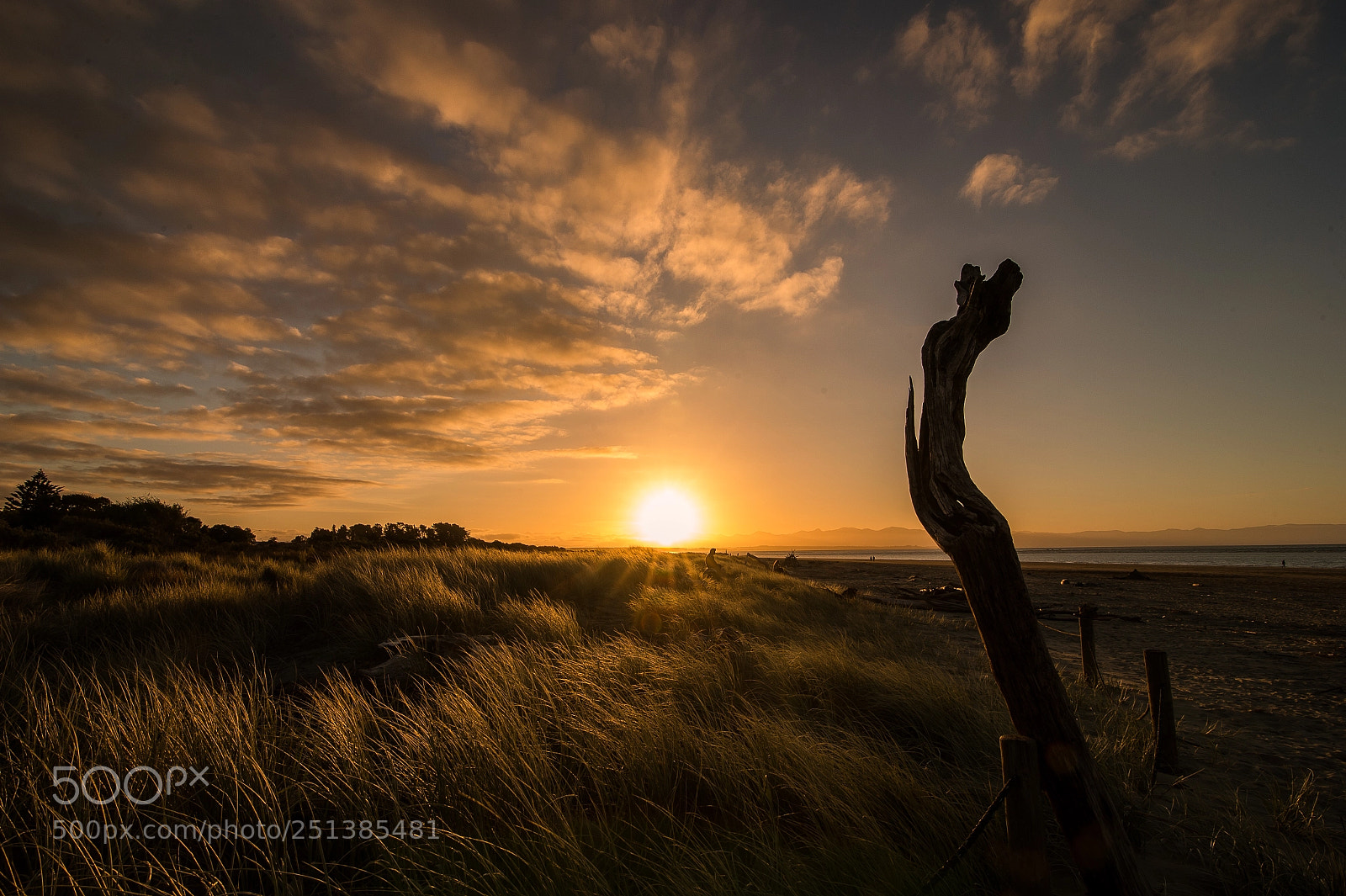 Nikon D4 sample photo. Tahunanui beach sunset new photography