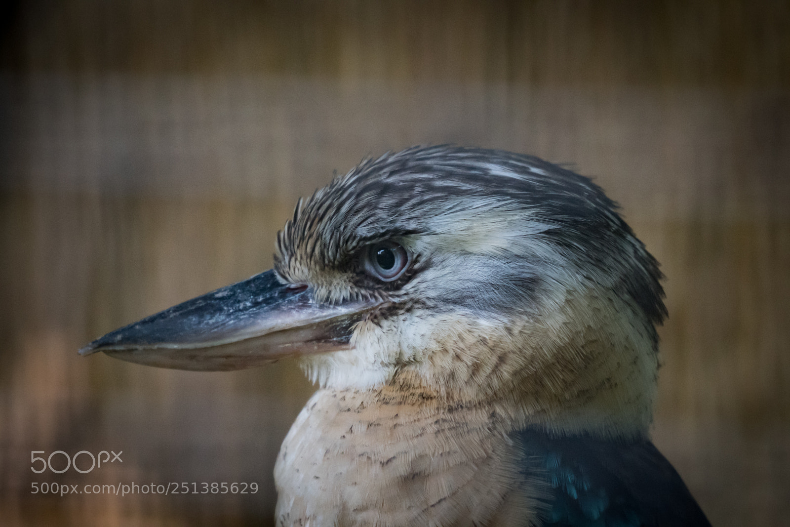 Sony a7R II sample photo. Untitled photography