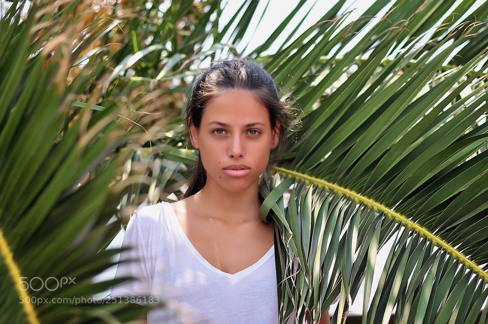 Nikon D300 sample photo. Green eye beauty photography