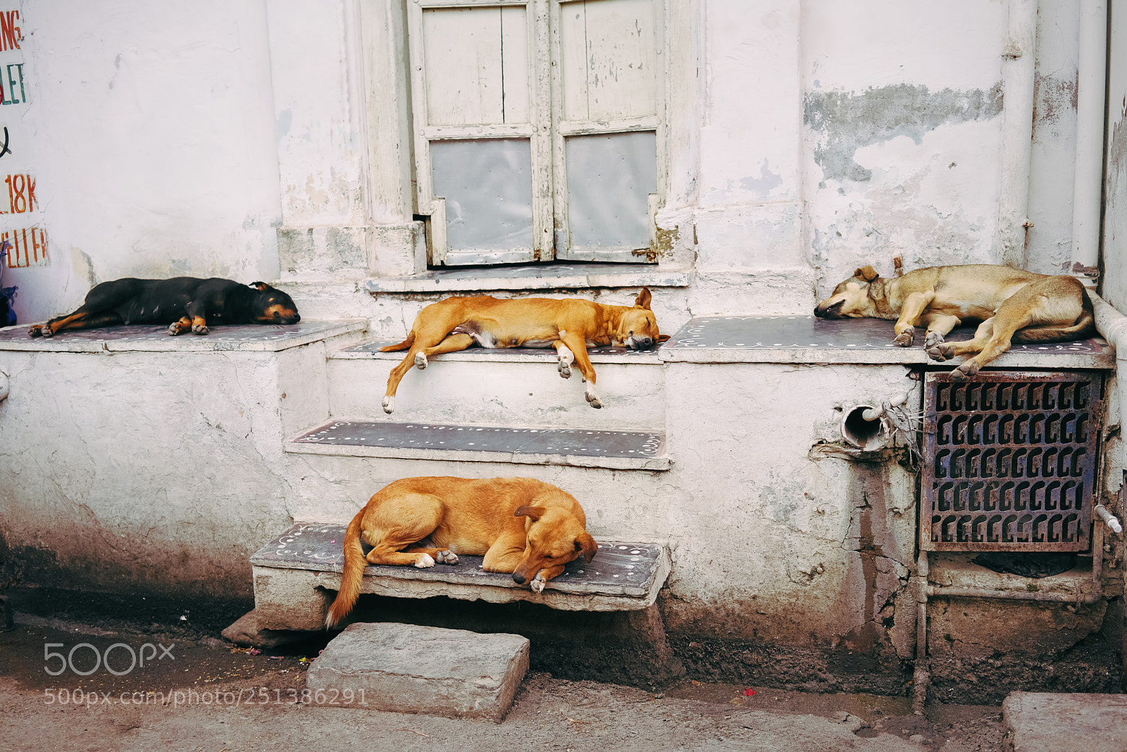 Sony a7R III sample photo. Just the four of photography