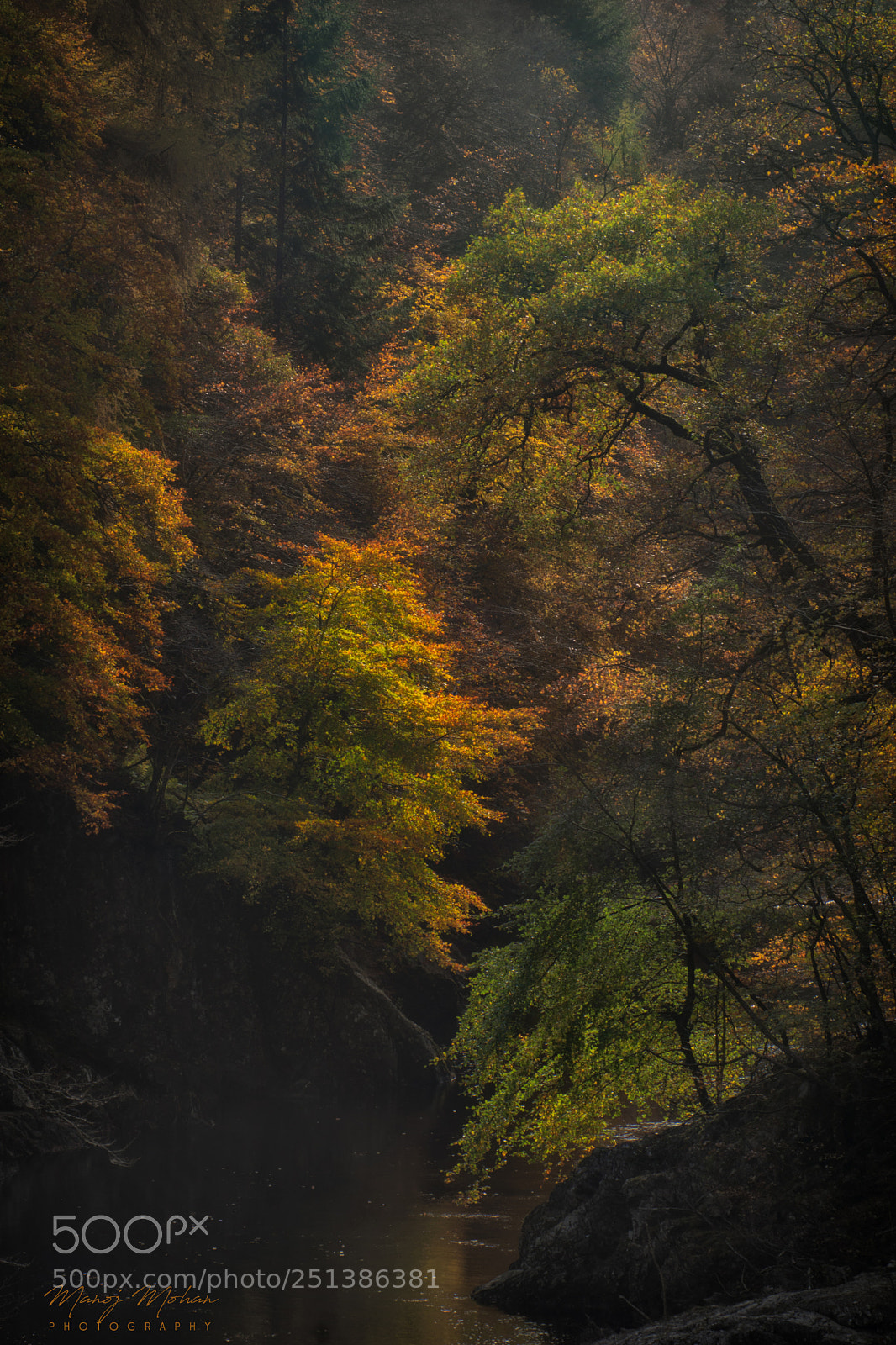 Sony ILCA-77M2 sample photo. Light in autumn photography