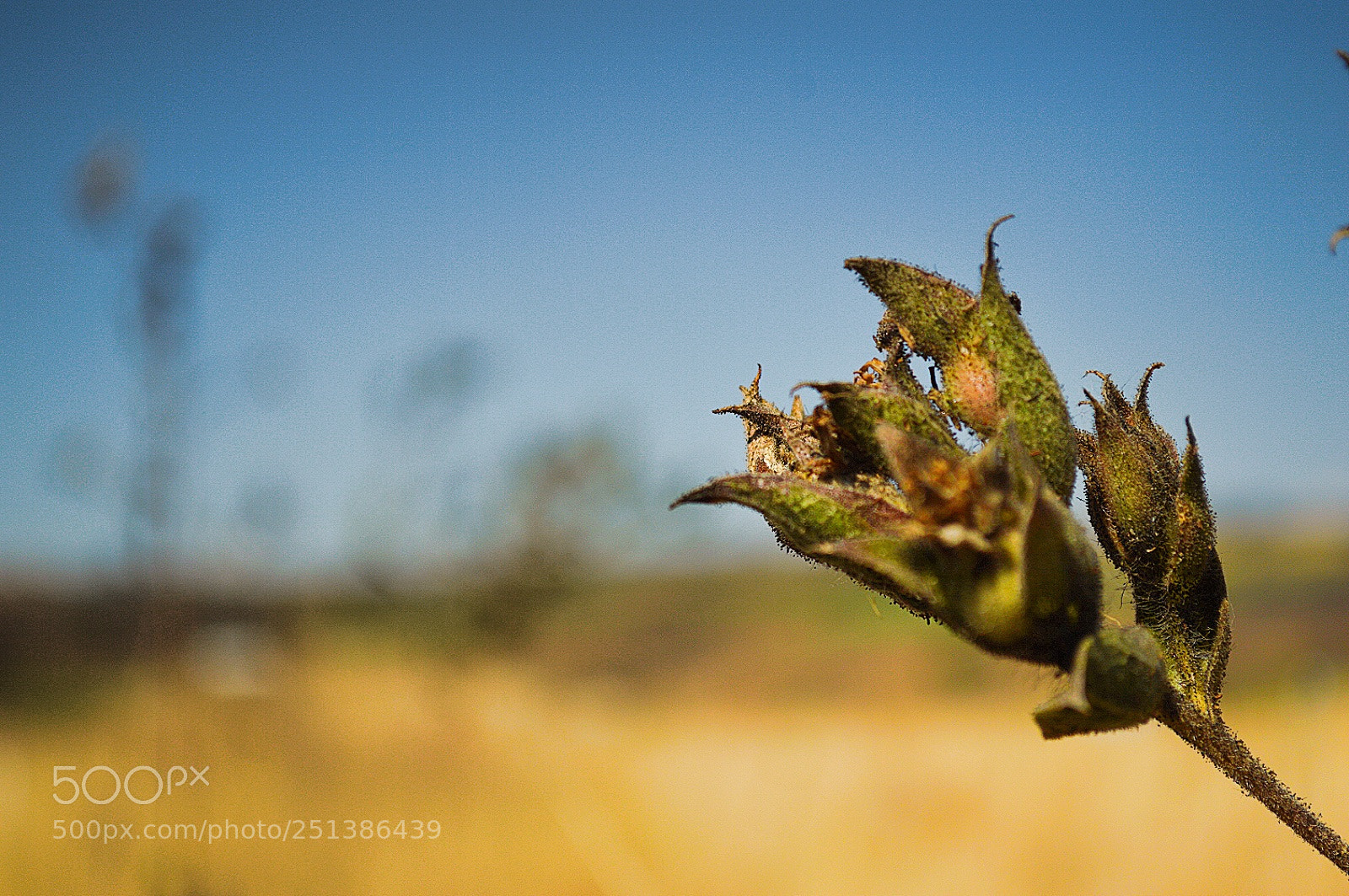 Nikon D3200 sample photo. Untitled photography