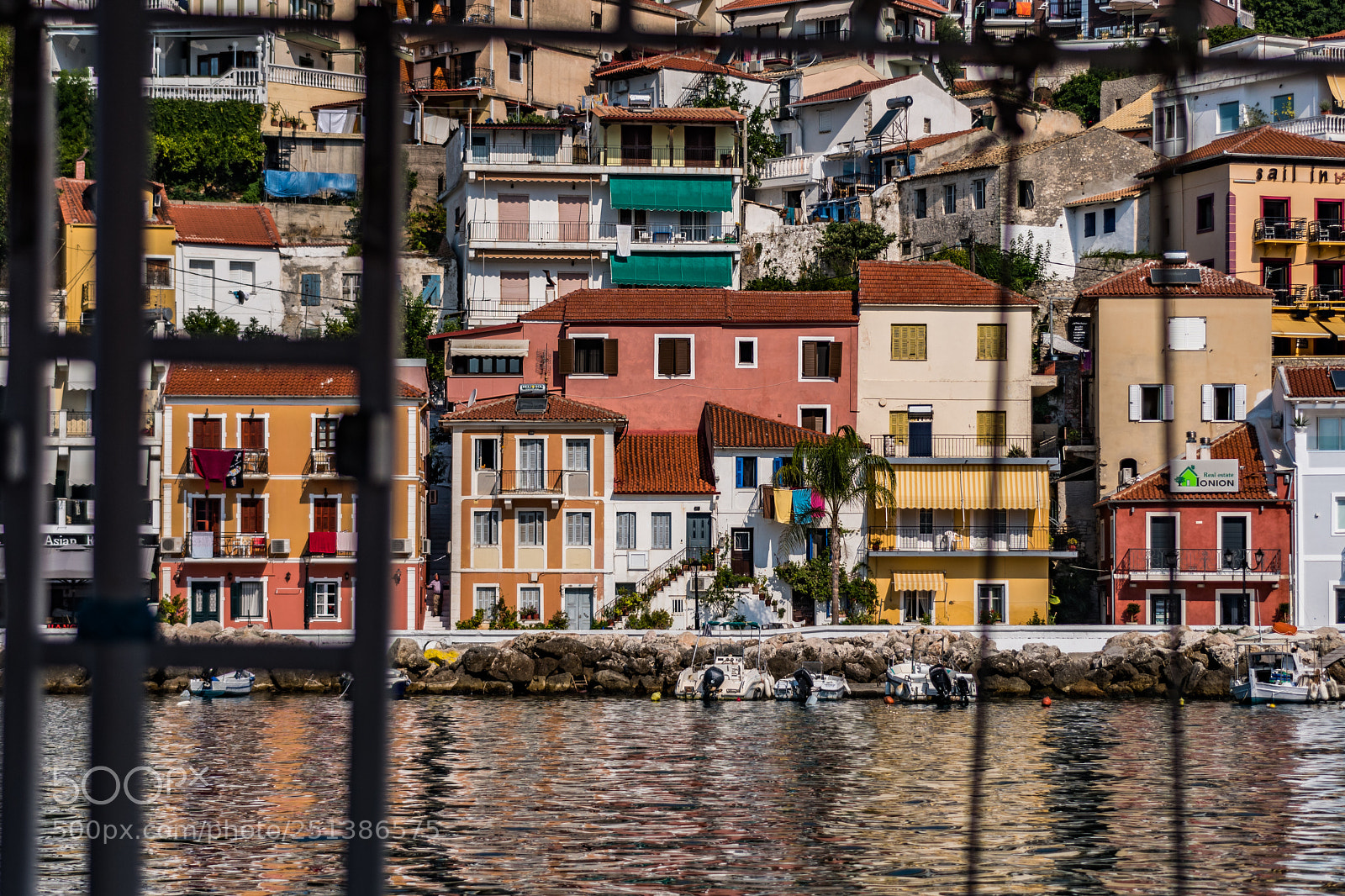 Nikon D500 sample photo. Beautiful parga! photography