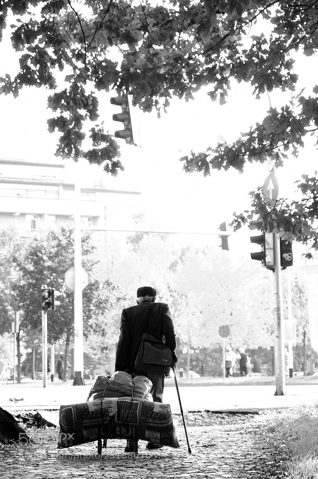 Nikon D2X sample photo. Hobo photography