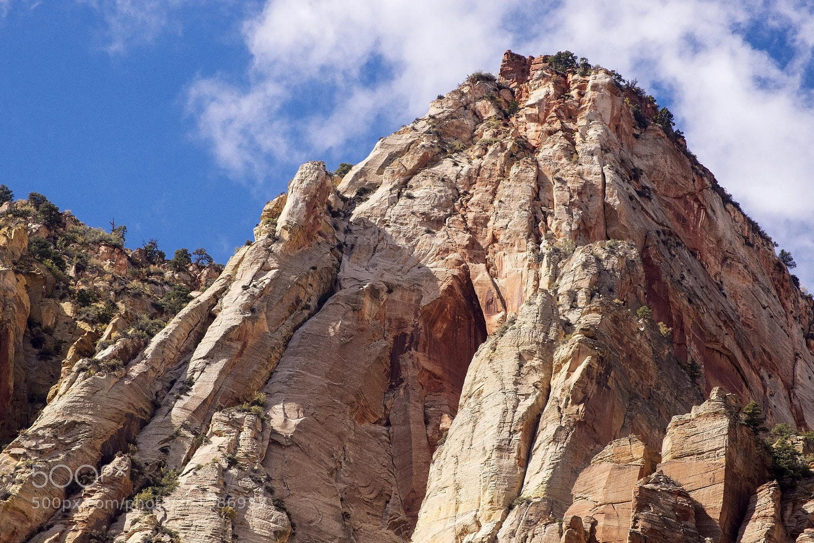 Nikon D600 sample photo. Rugged and soaring (1) photography